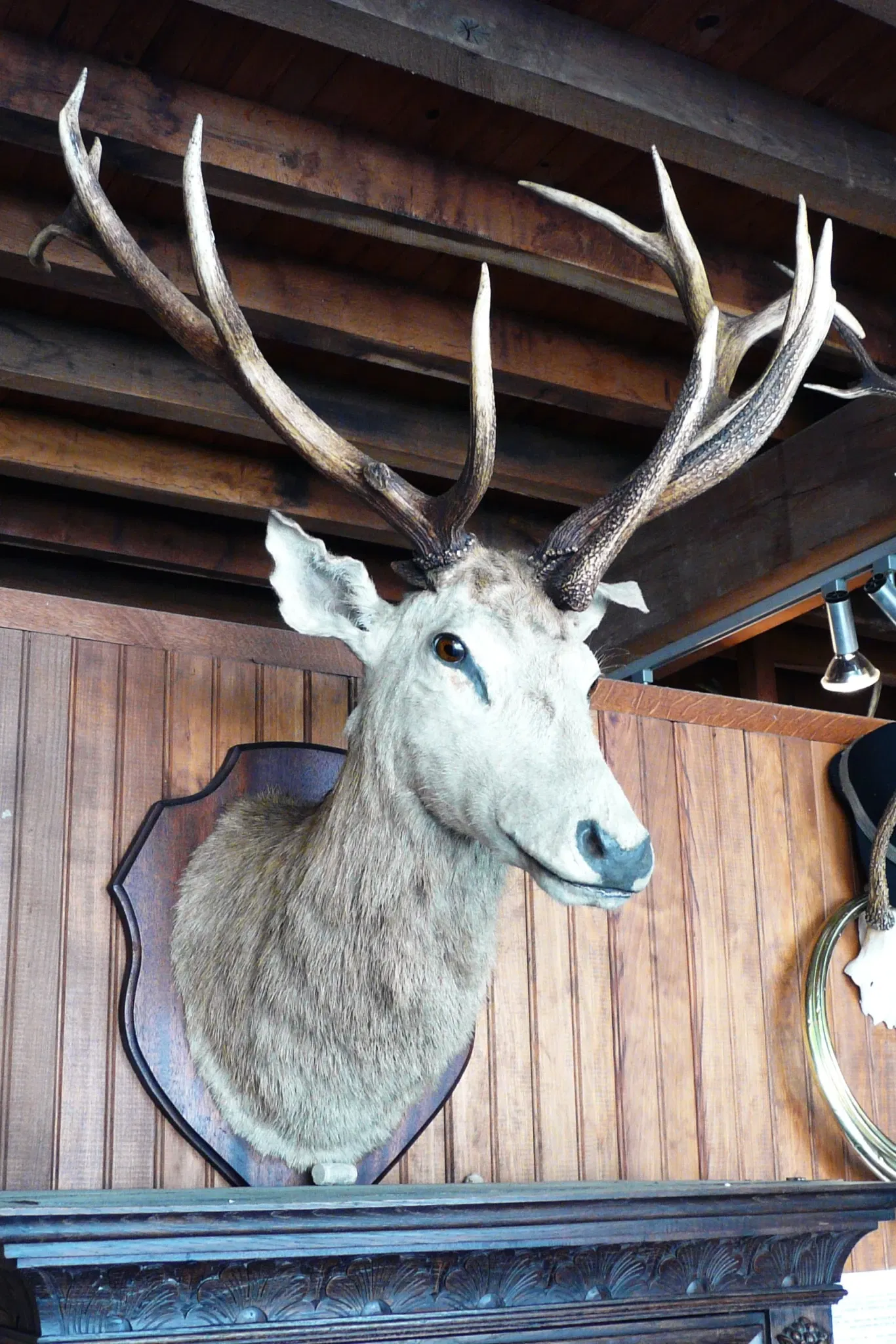 Castle of Montpoupon