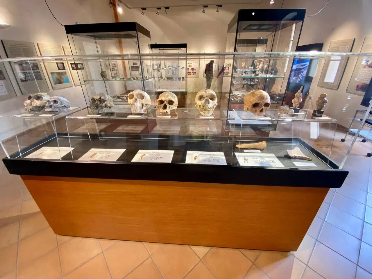 Museo Archeologico Lametino