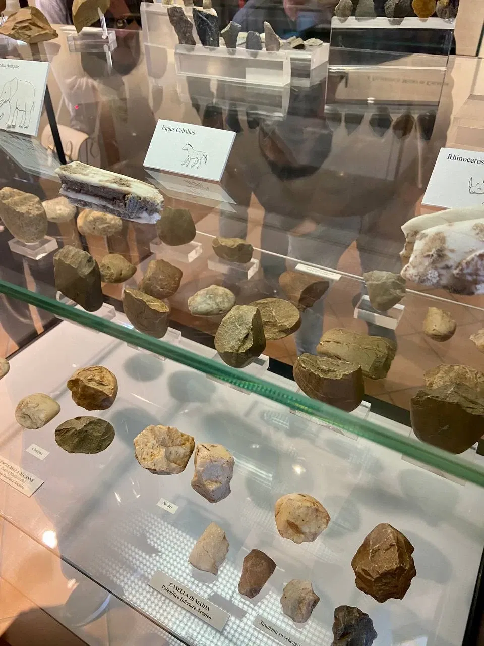 Museo Archeologico Lametino