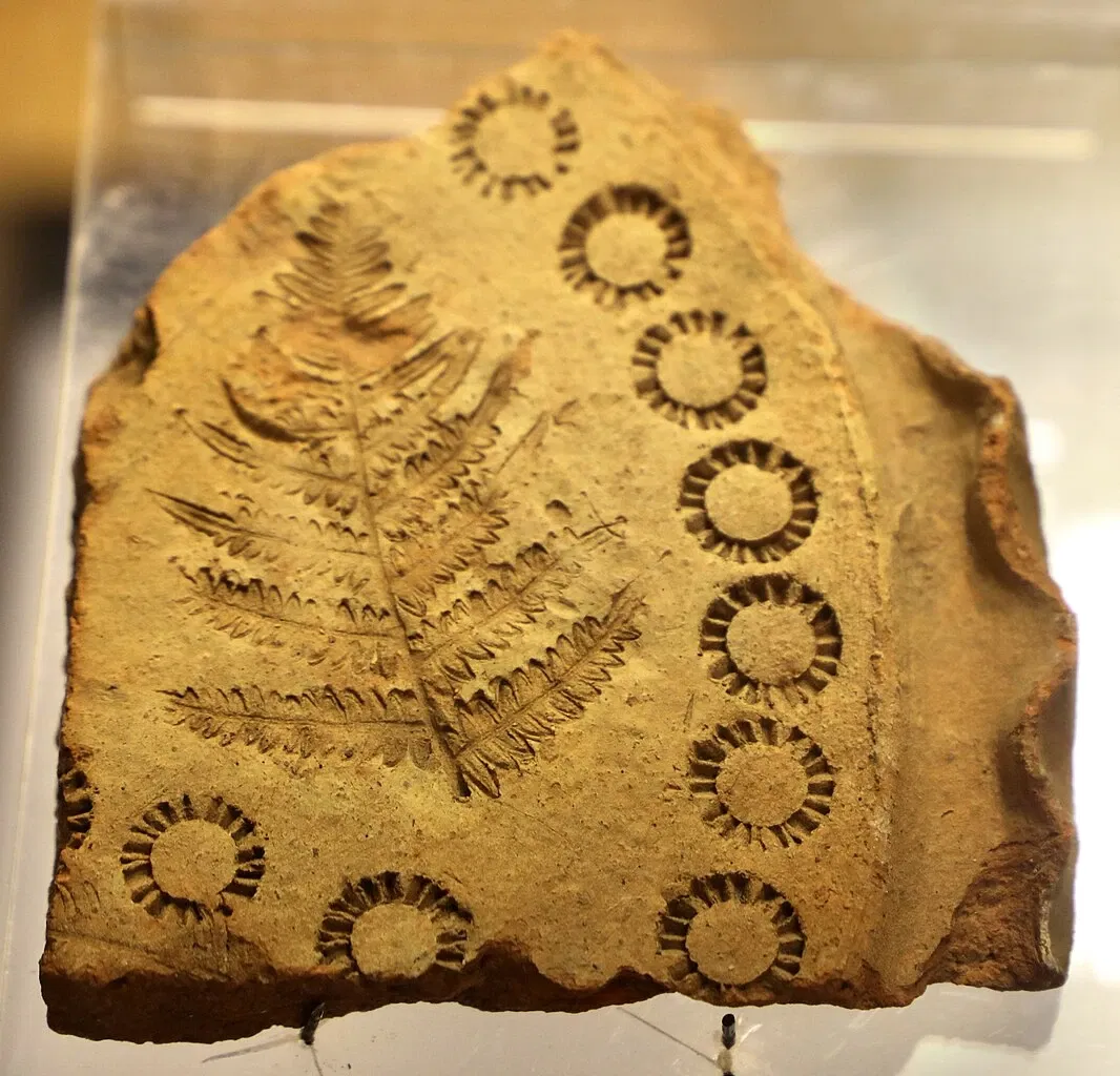 Museo Archeologico Lametino