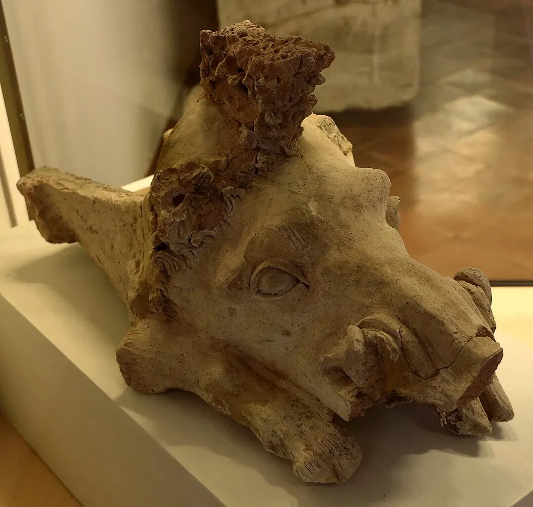 Museo Archeologico Nazionale Cerite