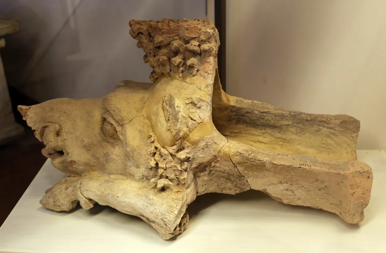 Museo Archeologico Nazionale Cerite