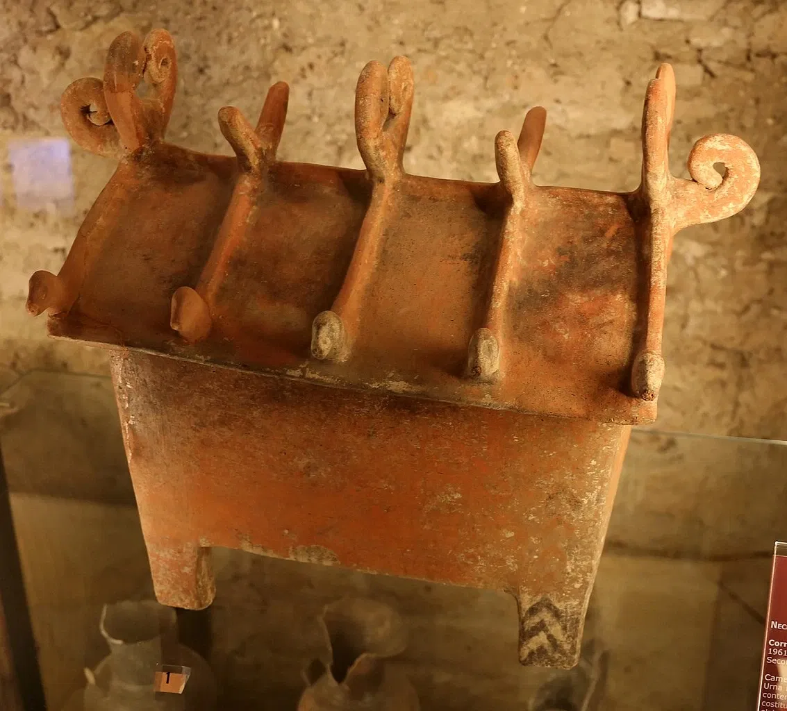 Museo Archeologico Nazionale Cerite