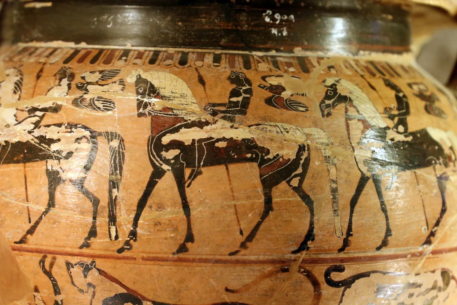 Cerite National Museum of Cerveteri