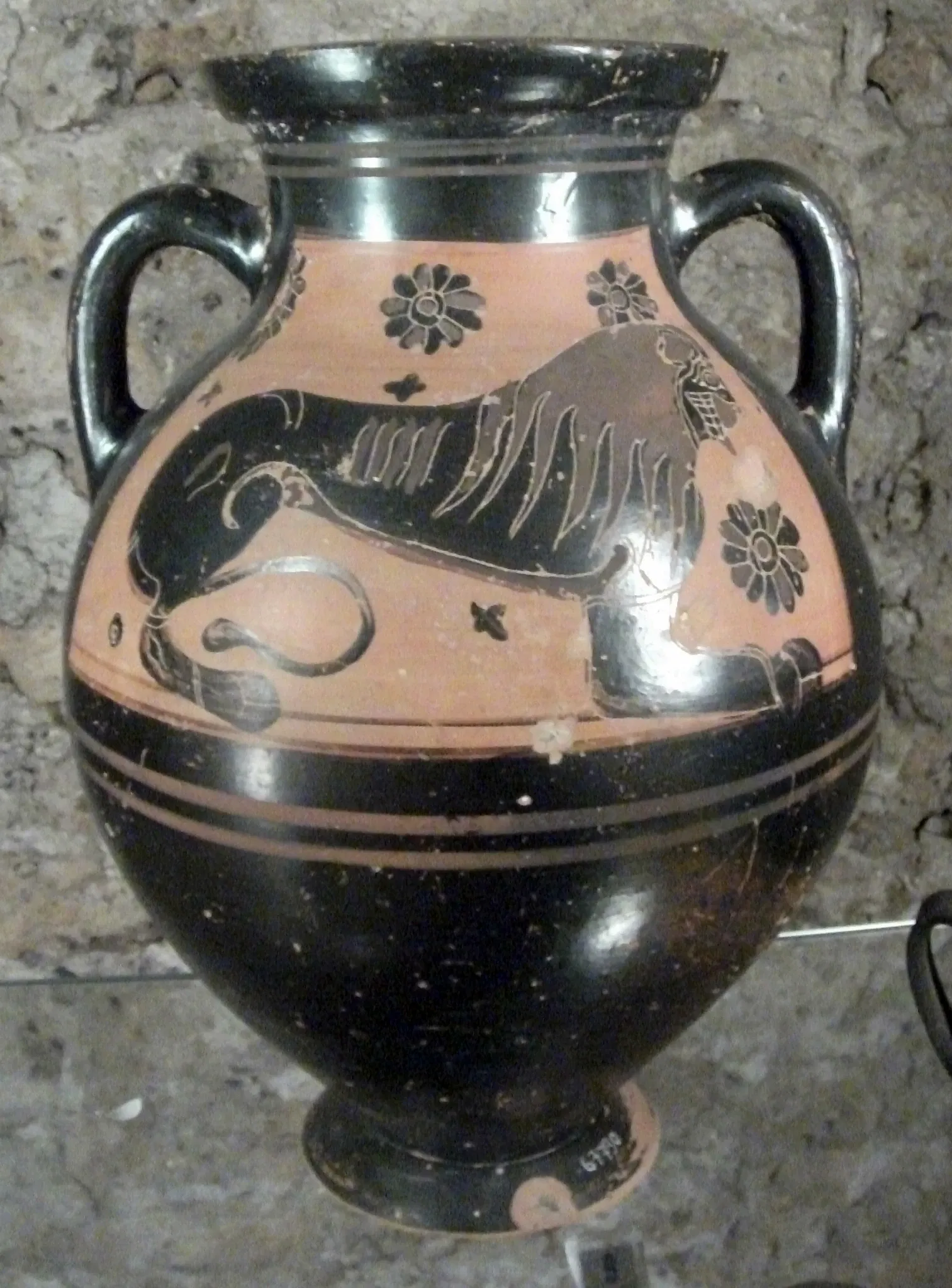 Museo Archeologico Nazionale Cerite