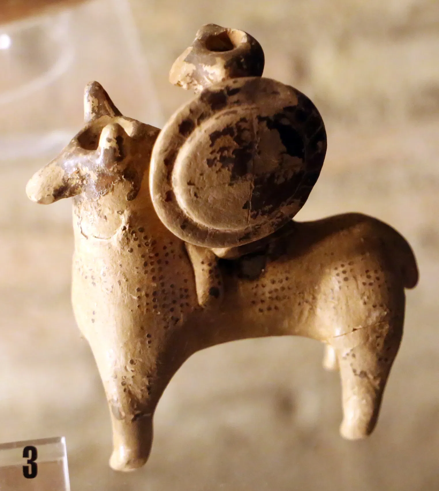 Museo Archeologico Nazionale Cerite