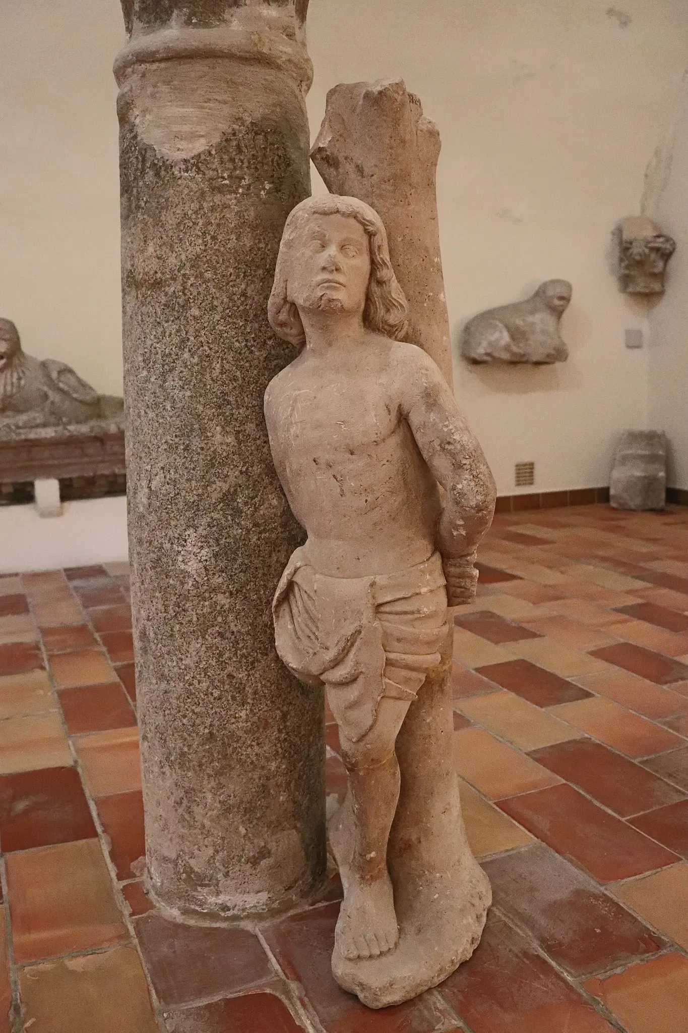 Archaeological Museum of Die and Diois