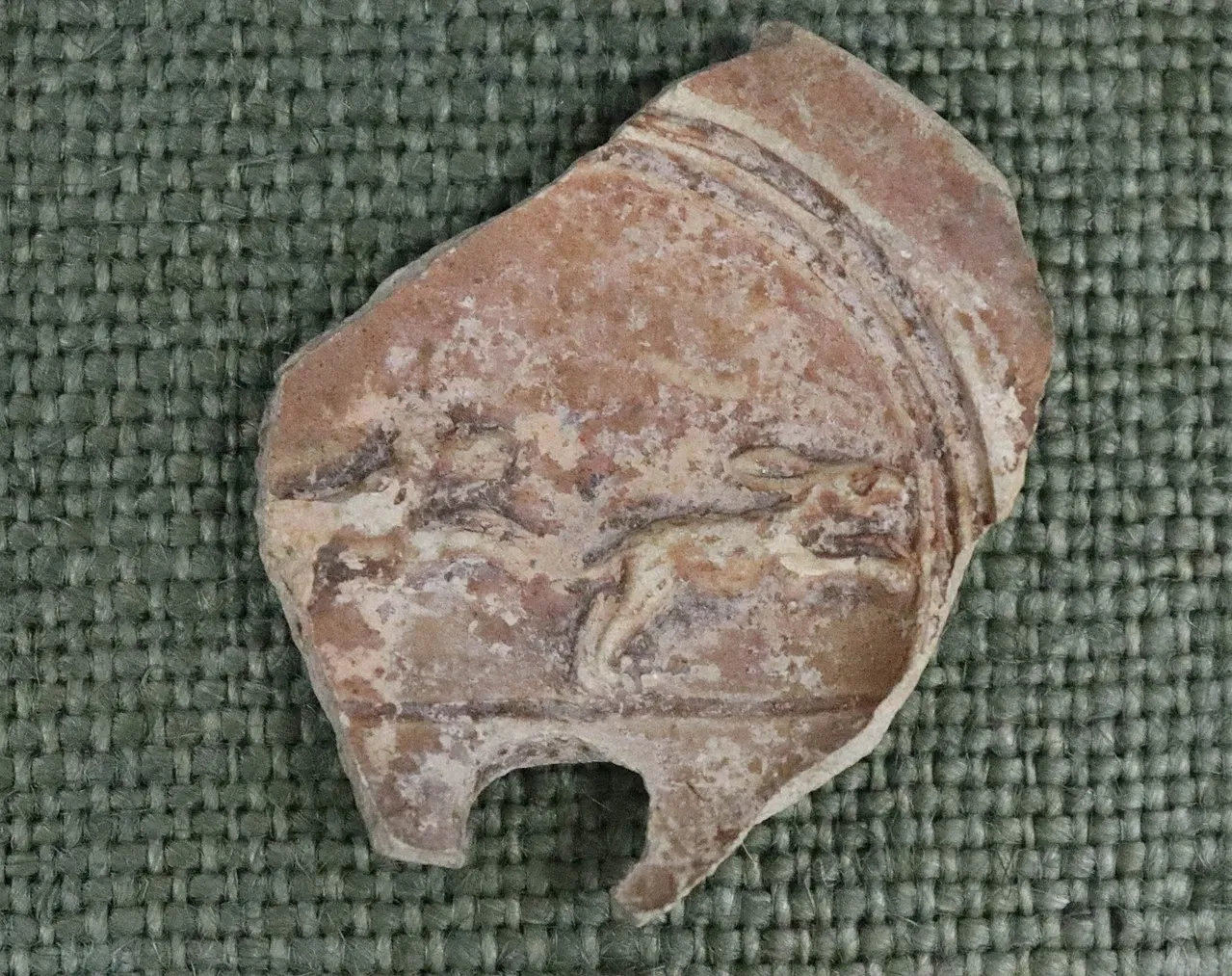 Archaeological Museum of Die and Diois