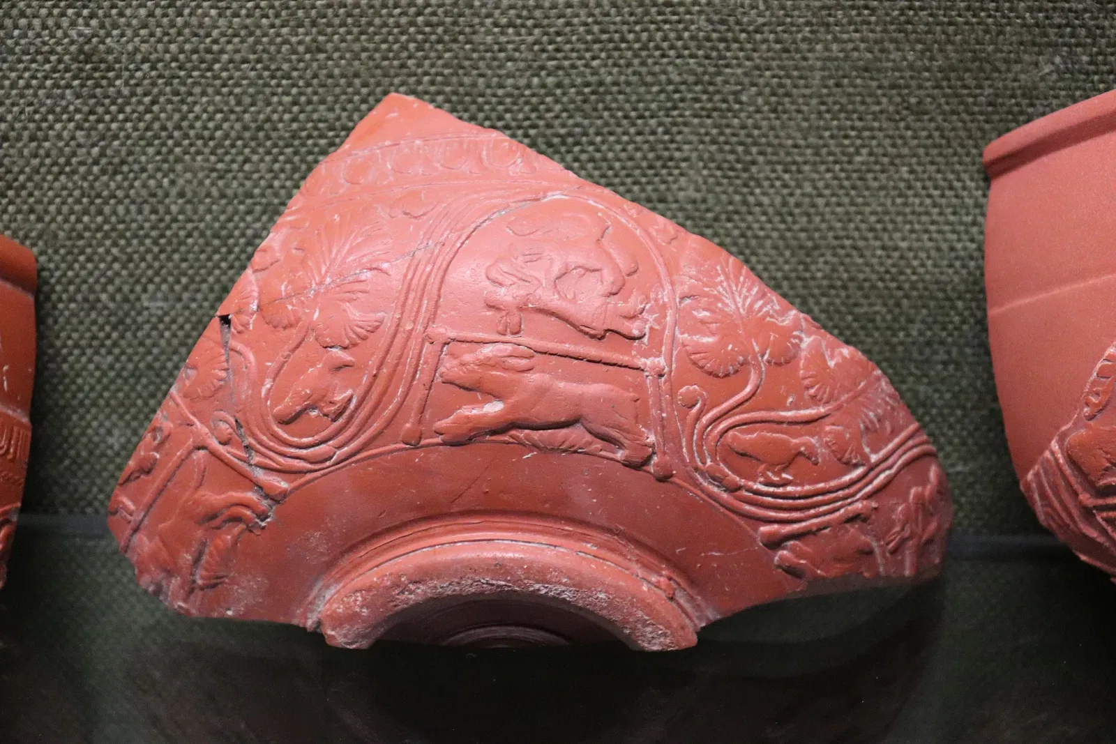 Archaeological Museum of Die and Diois