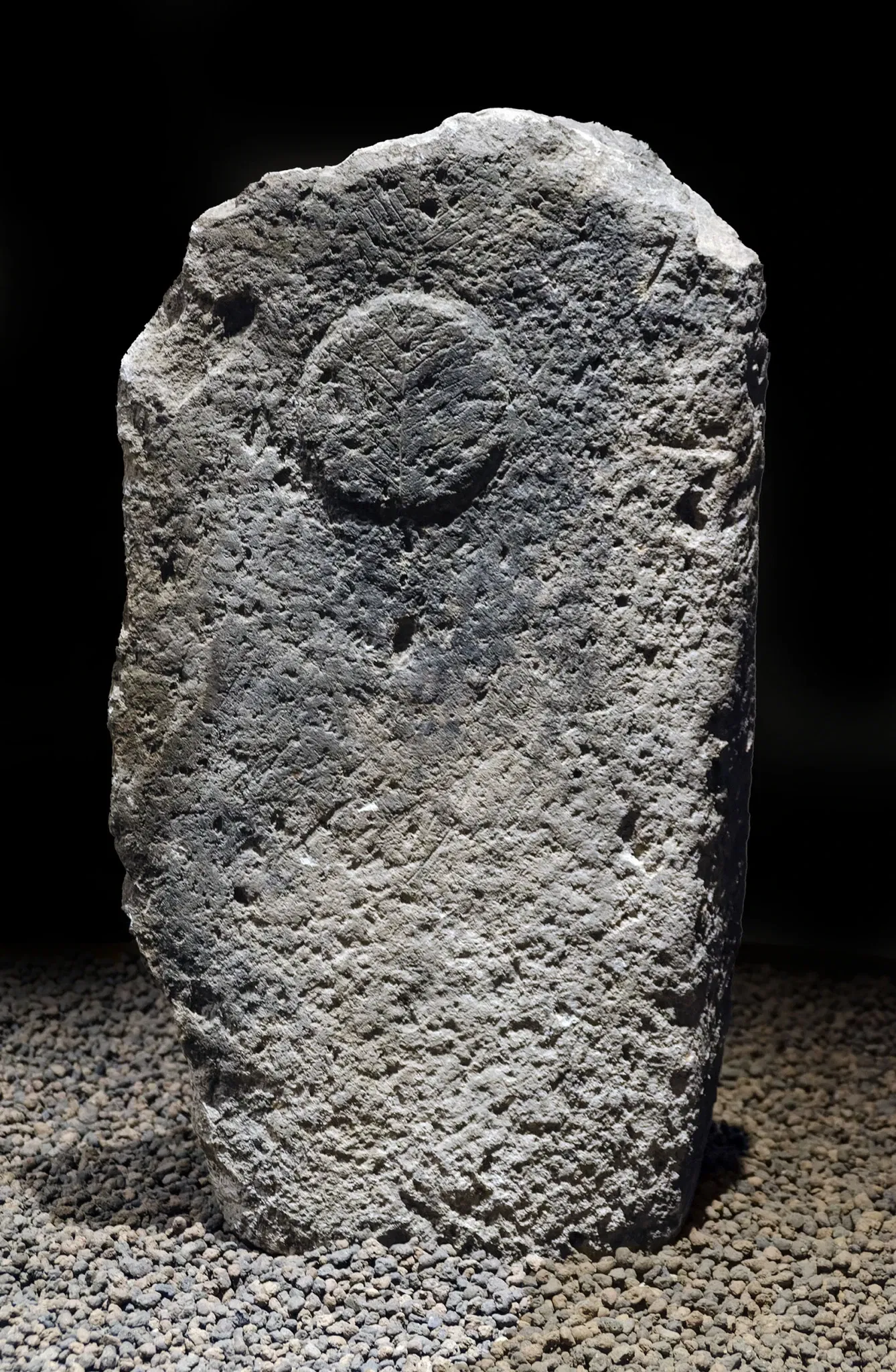 Menhir museum - Museum of Prehistoric Statuary in Sardinia