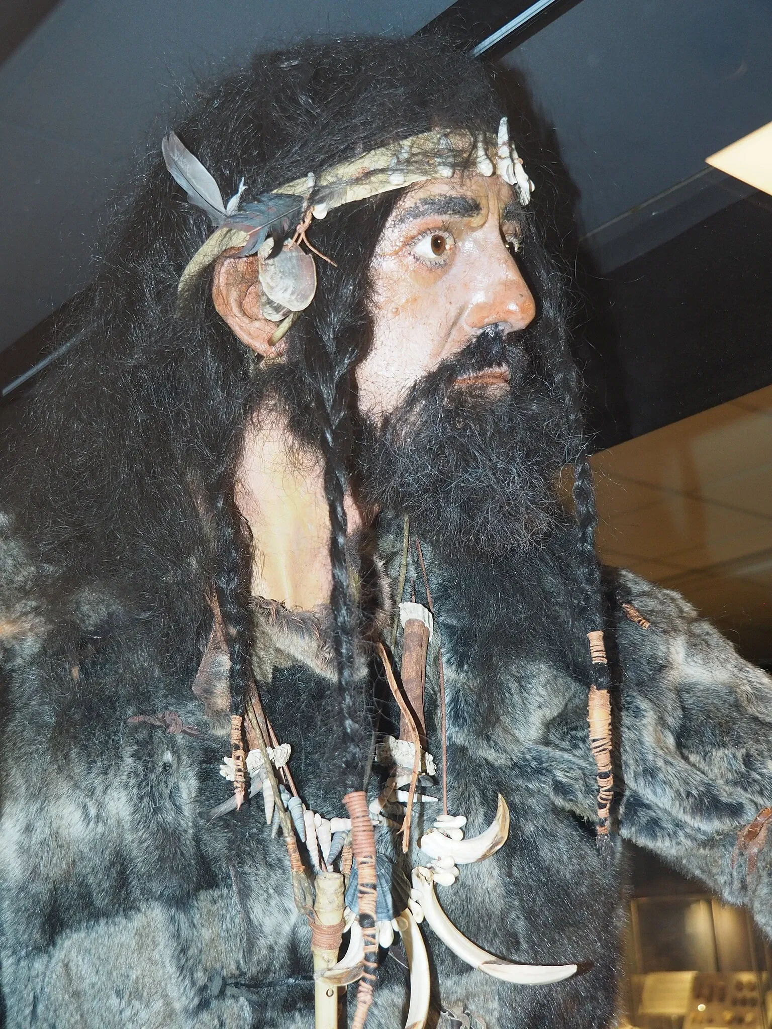 Museum of Prehistory Luigi Donini