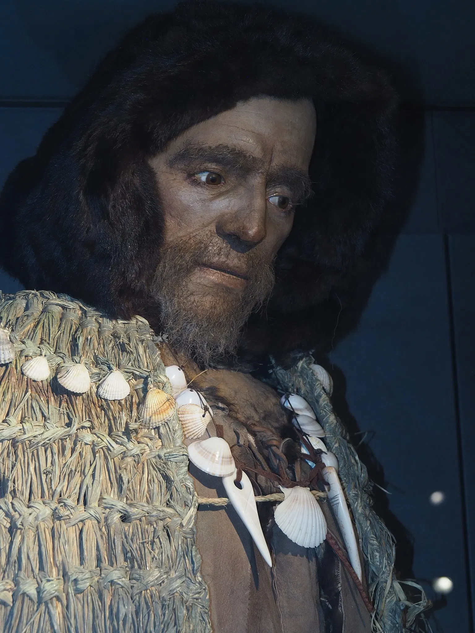 Museum of Prehistory Luigi Donini