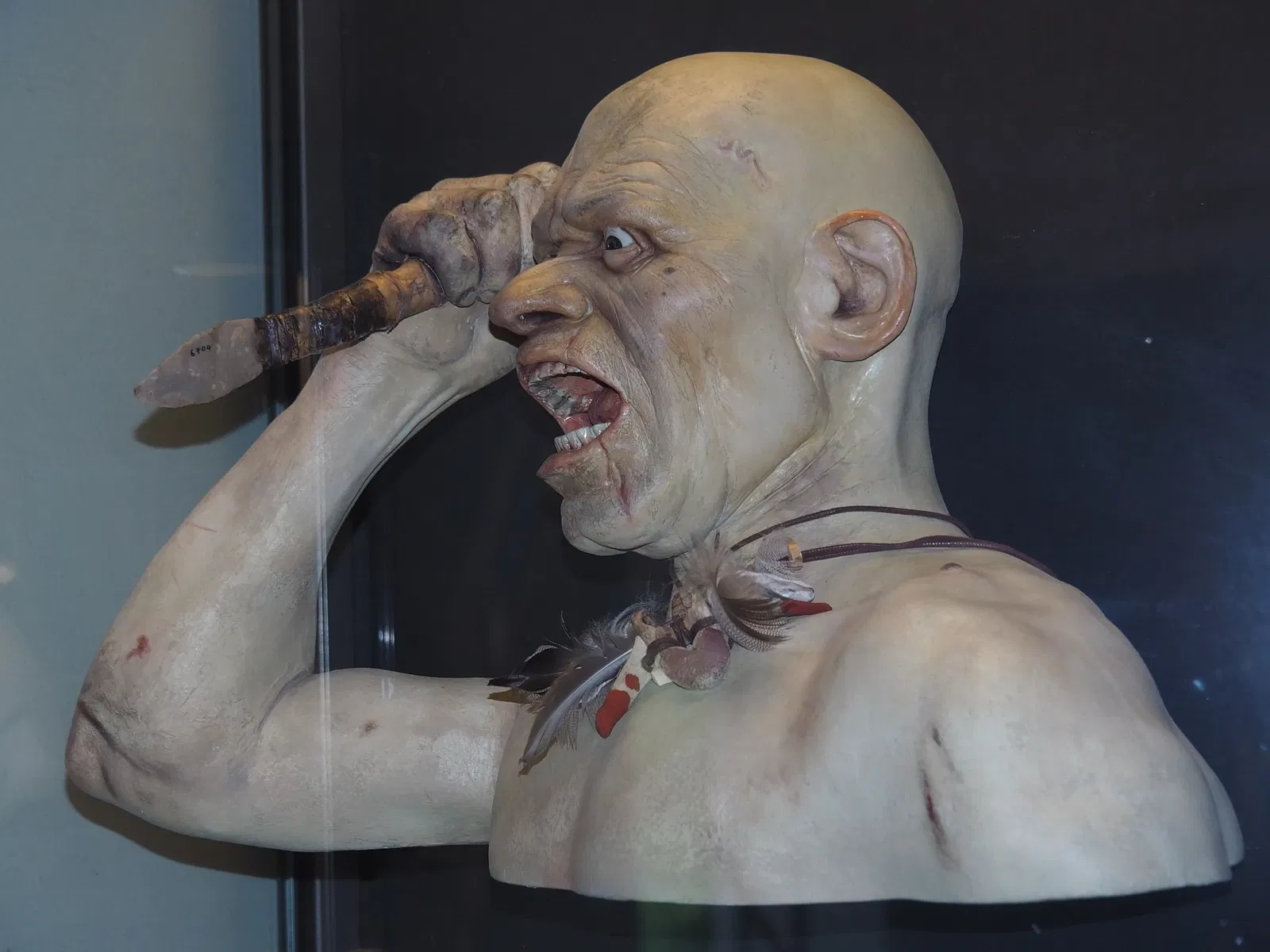 Museo della Preistoria Luigi Donini