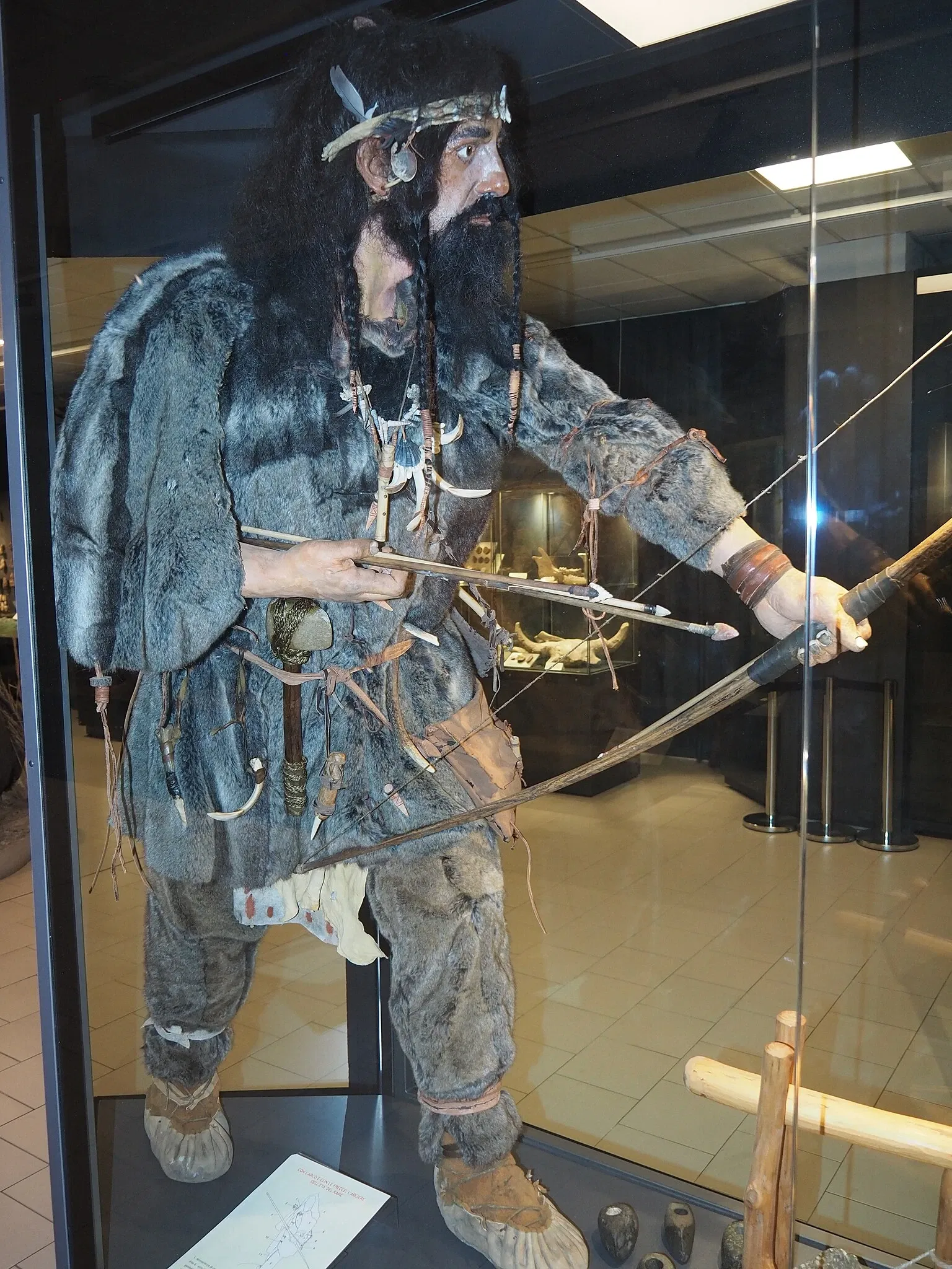Museum of Prehistory Luigi Donini
