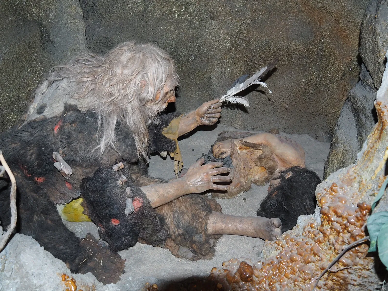 Museo della Preistoria Luigi Donini