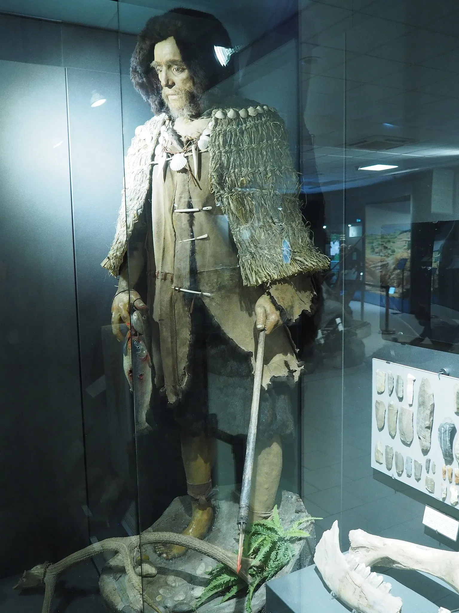 Museum of Prehistory Luigi Donini