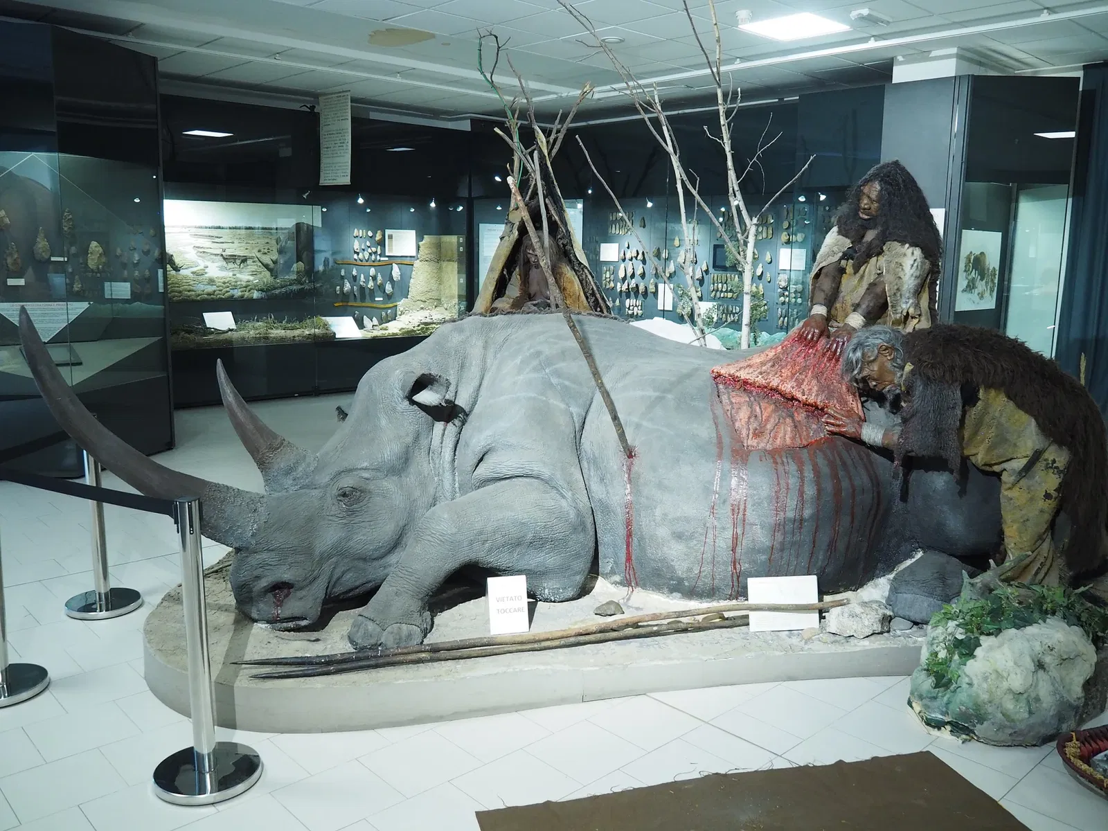 Museum of Prehistory Luigi Donini