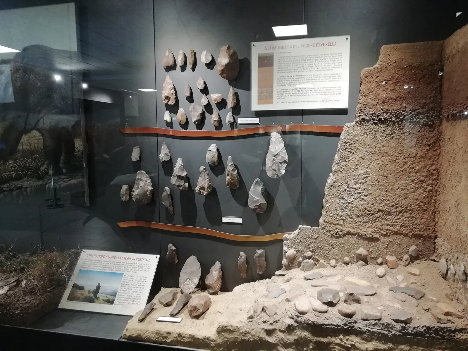 Museum of Prehistory Luigi Donini