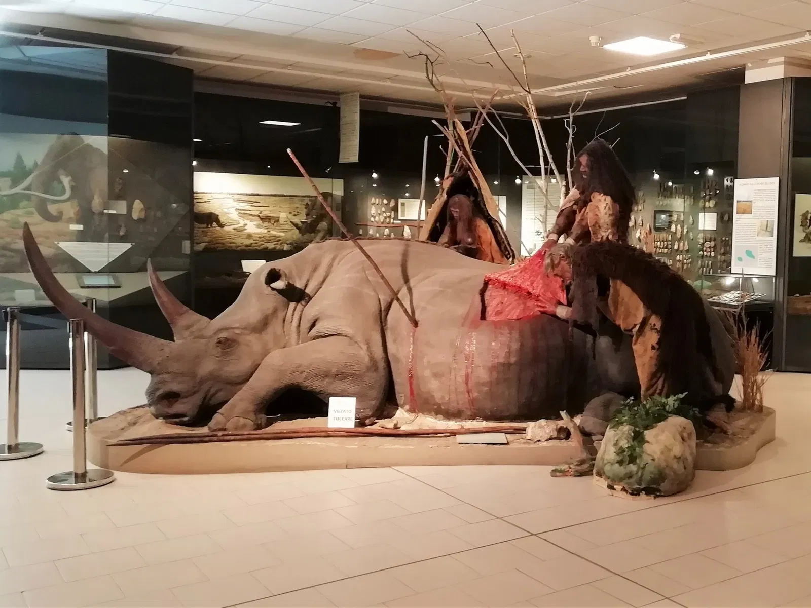 Museo della Preistoria Luigi Donini