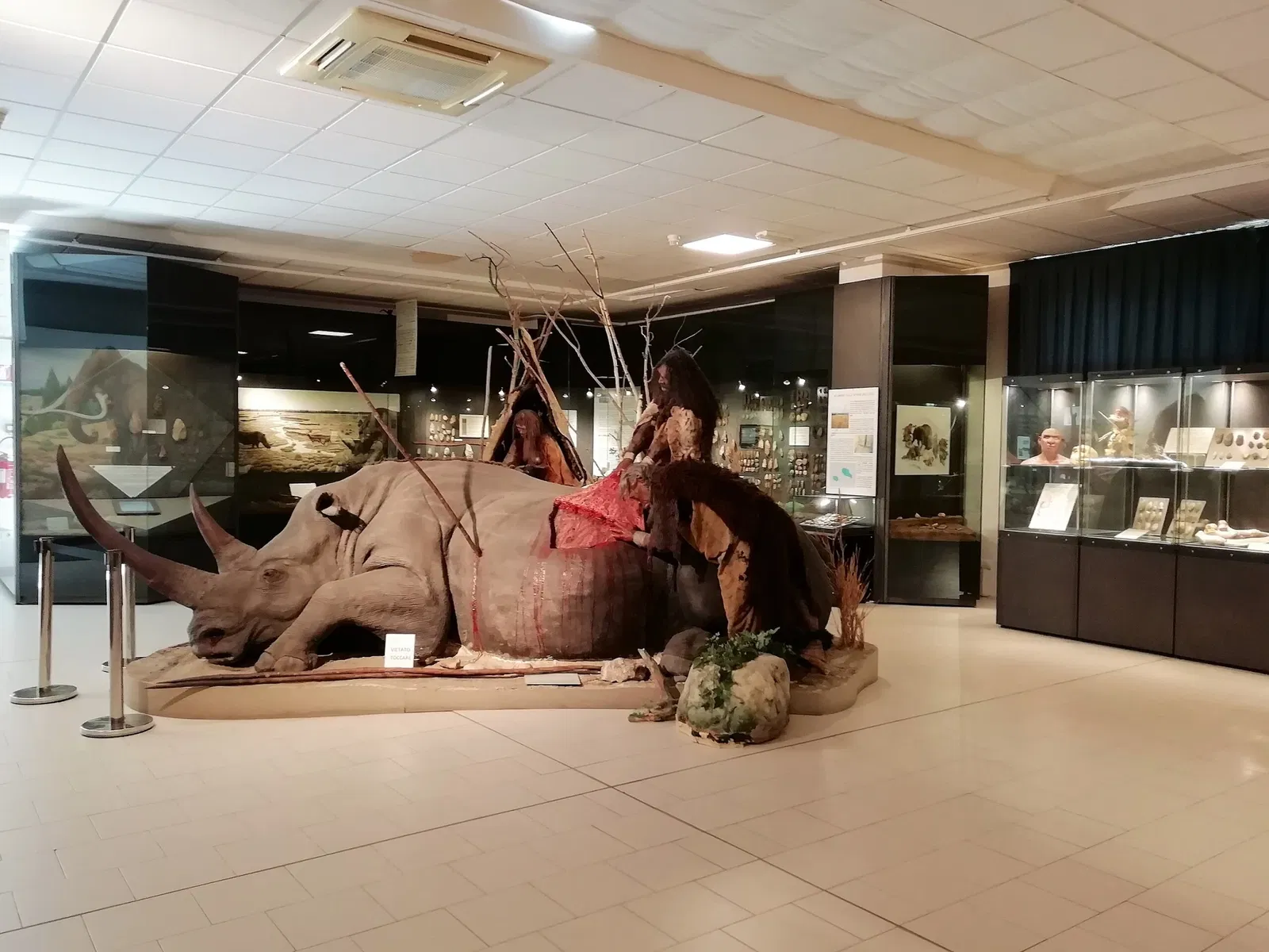 Museum of Prehistory Luigi Donini