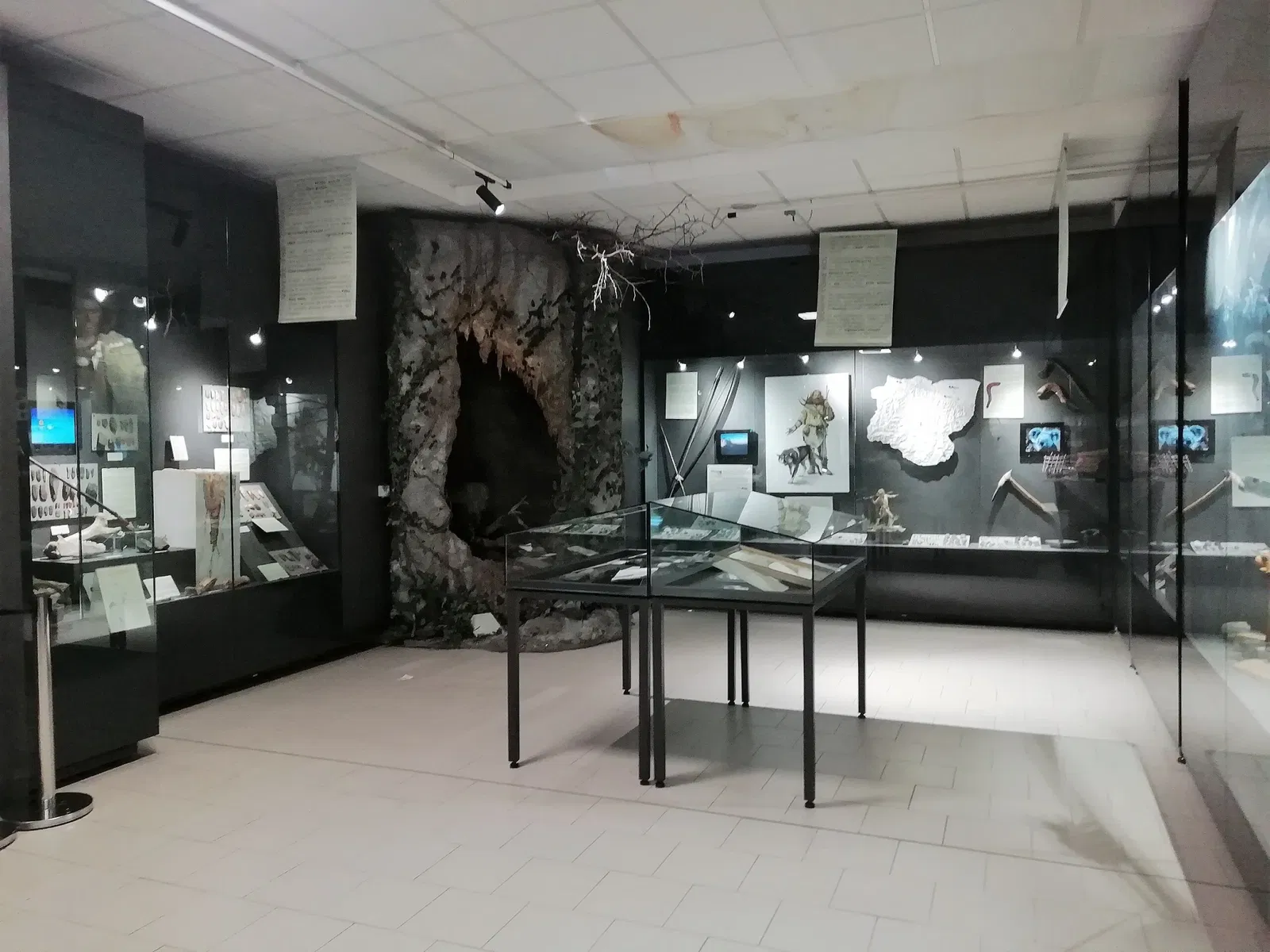 Museum of Prehistory Luigi Donini