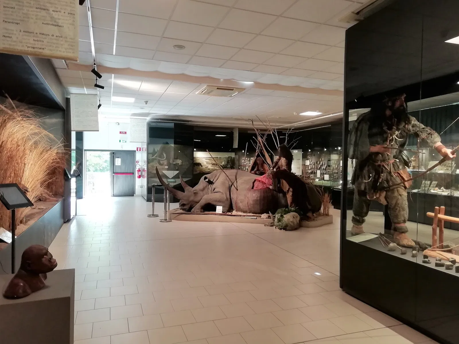 Museum of Prehistory Luigi Donini