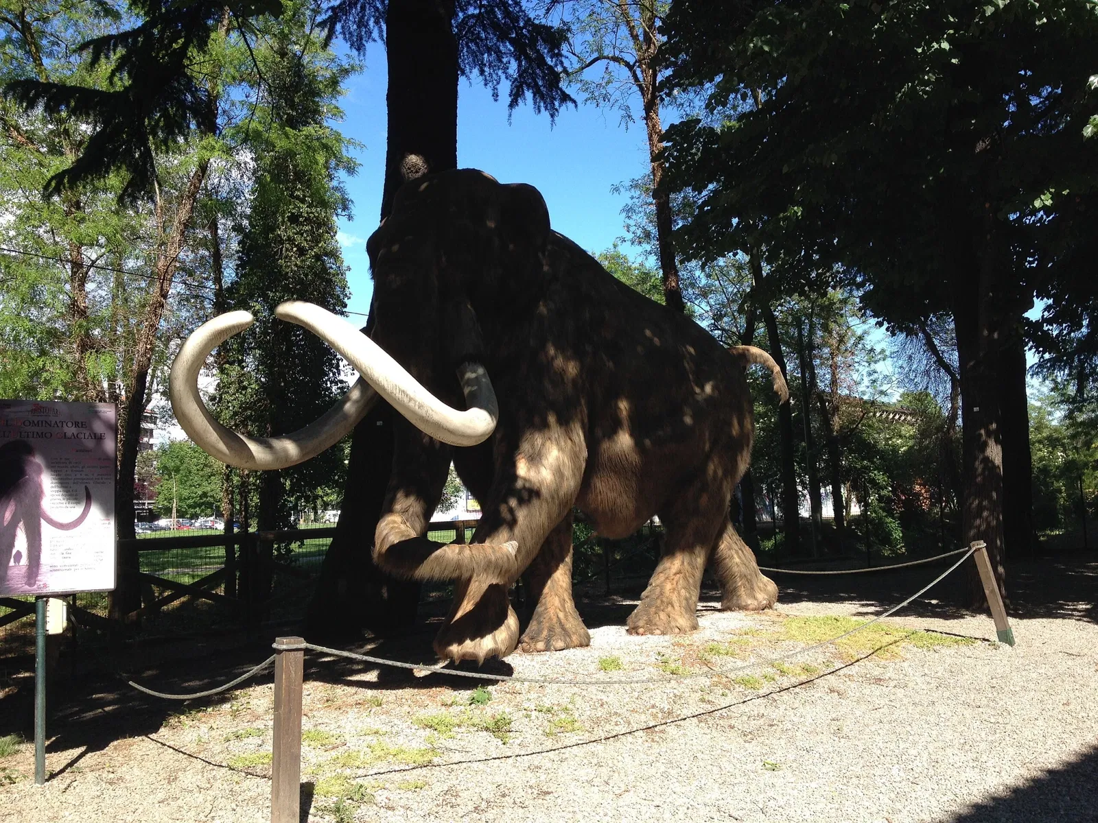 Museum of Prehistory Luigi Donini