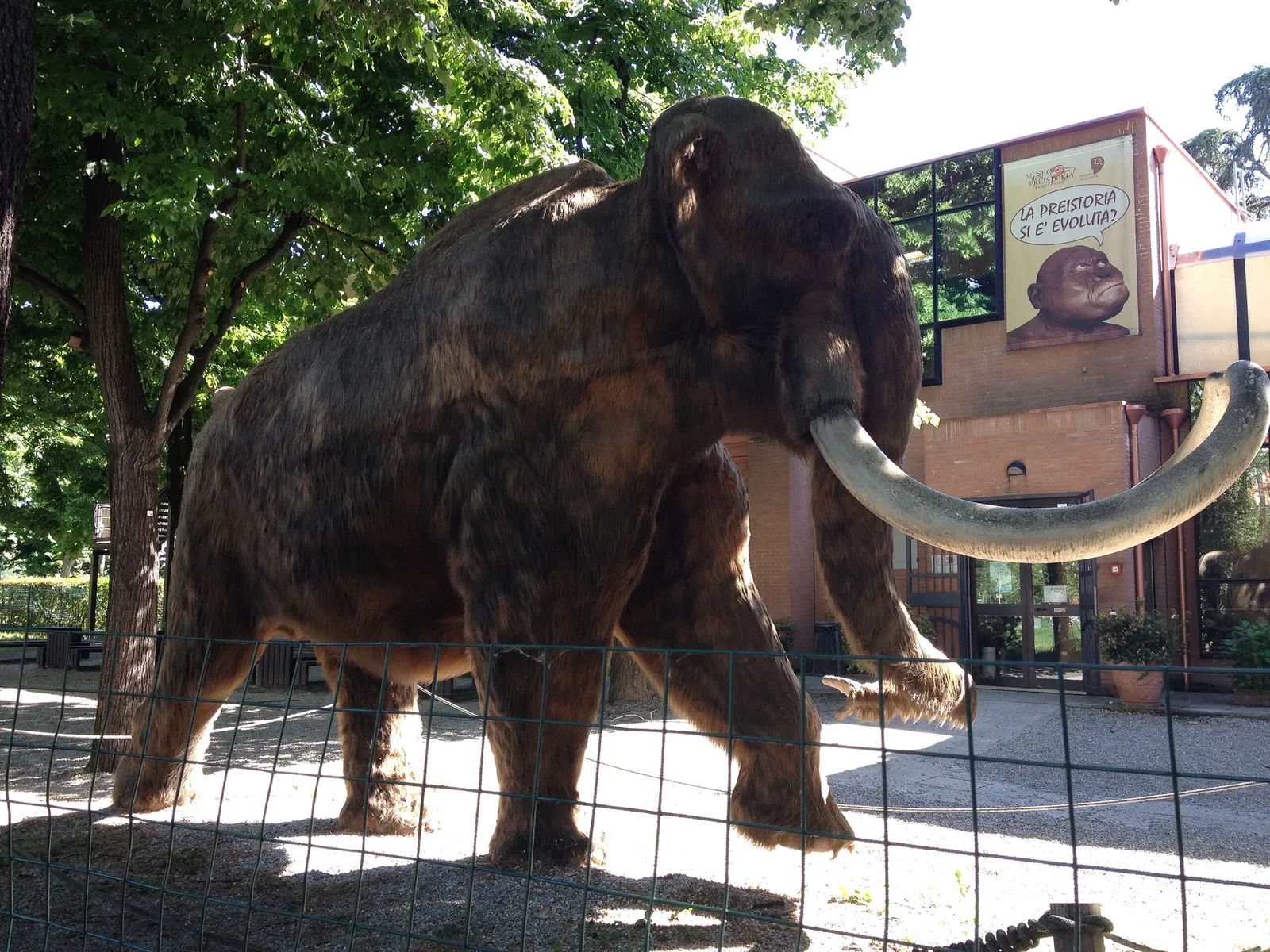 Museum of Prehistory Luigi Donini