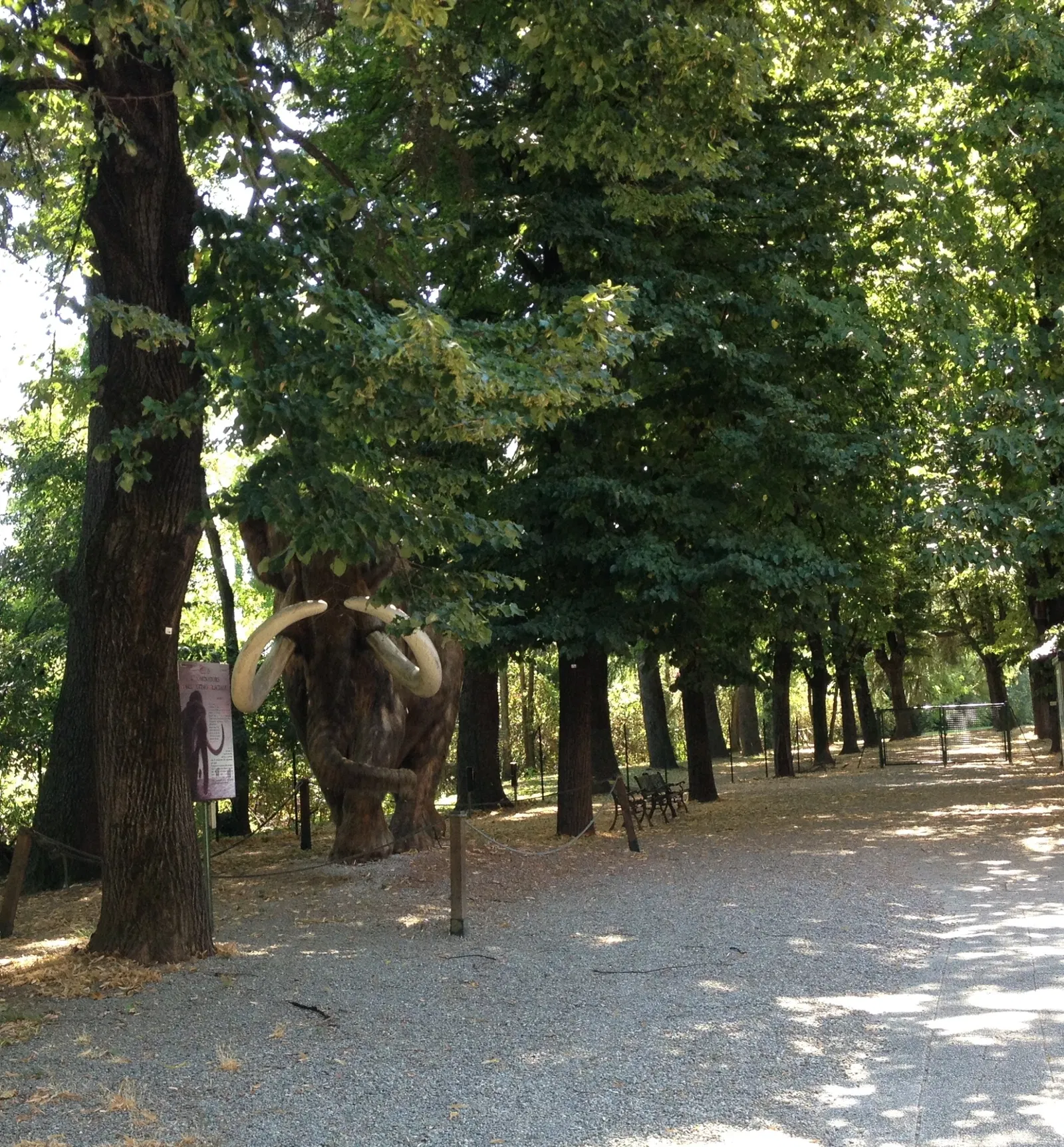 Museum of Prehistory Luigi Donini
