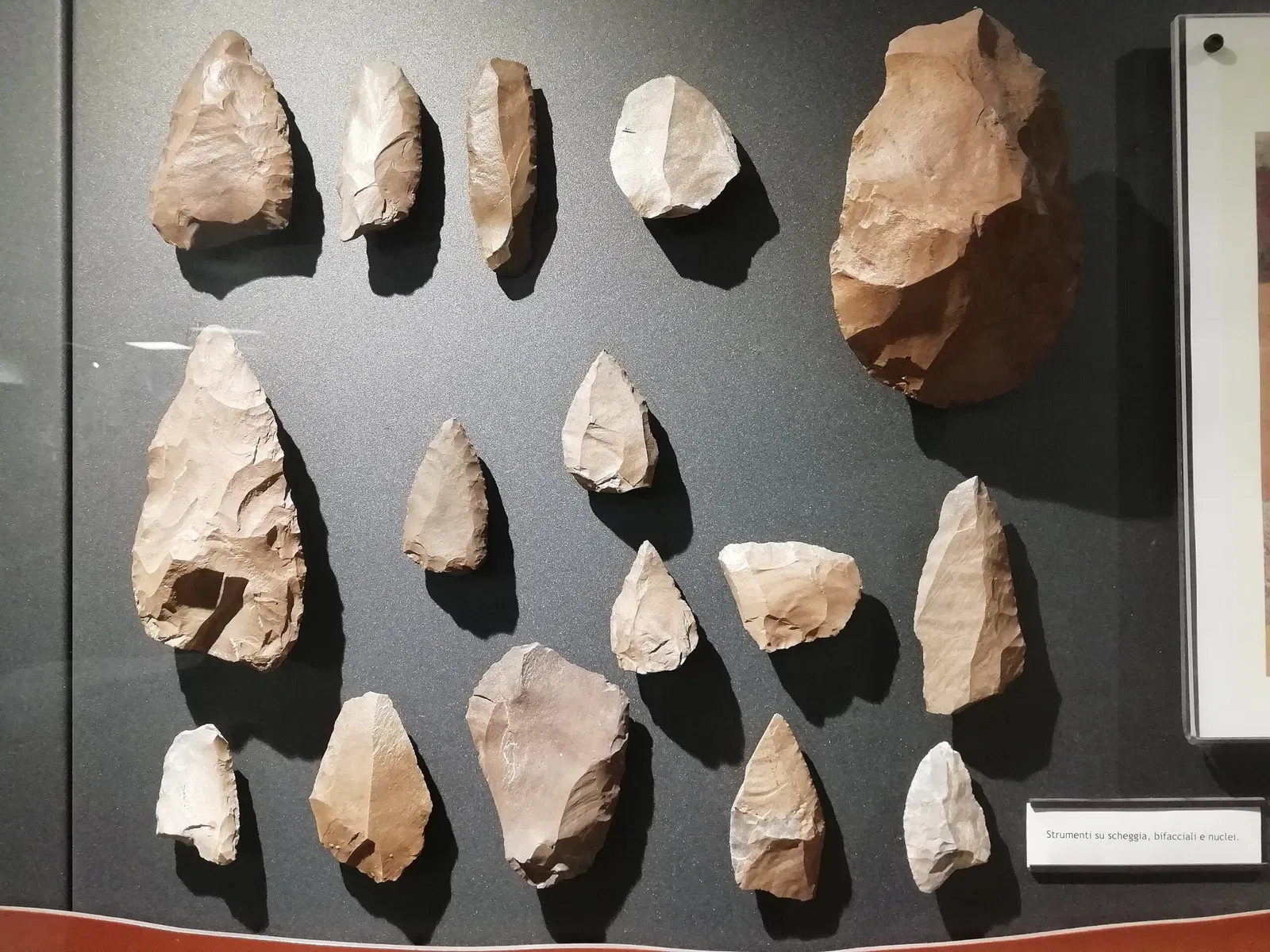 Museum of Prehistory Luigi Donini