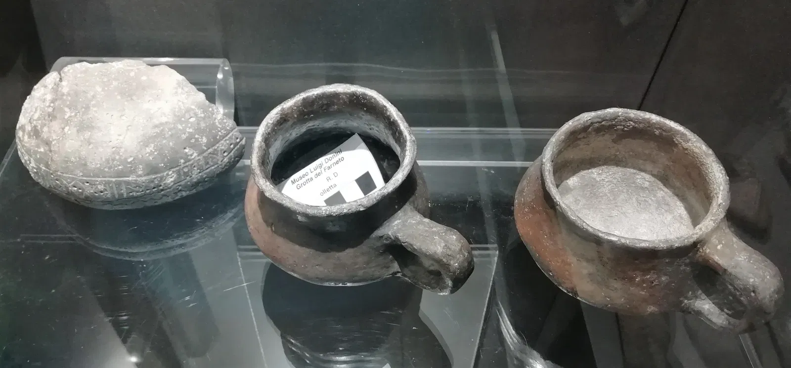 Museum of Prehistory Luigi Donini