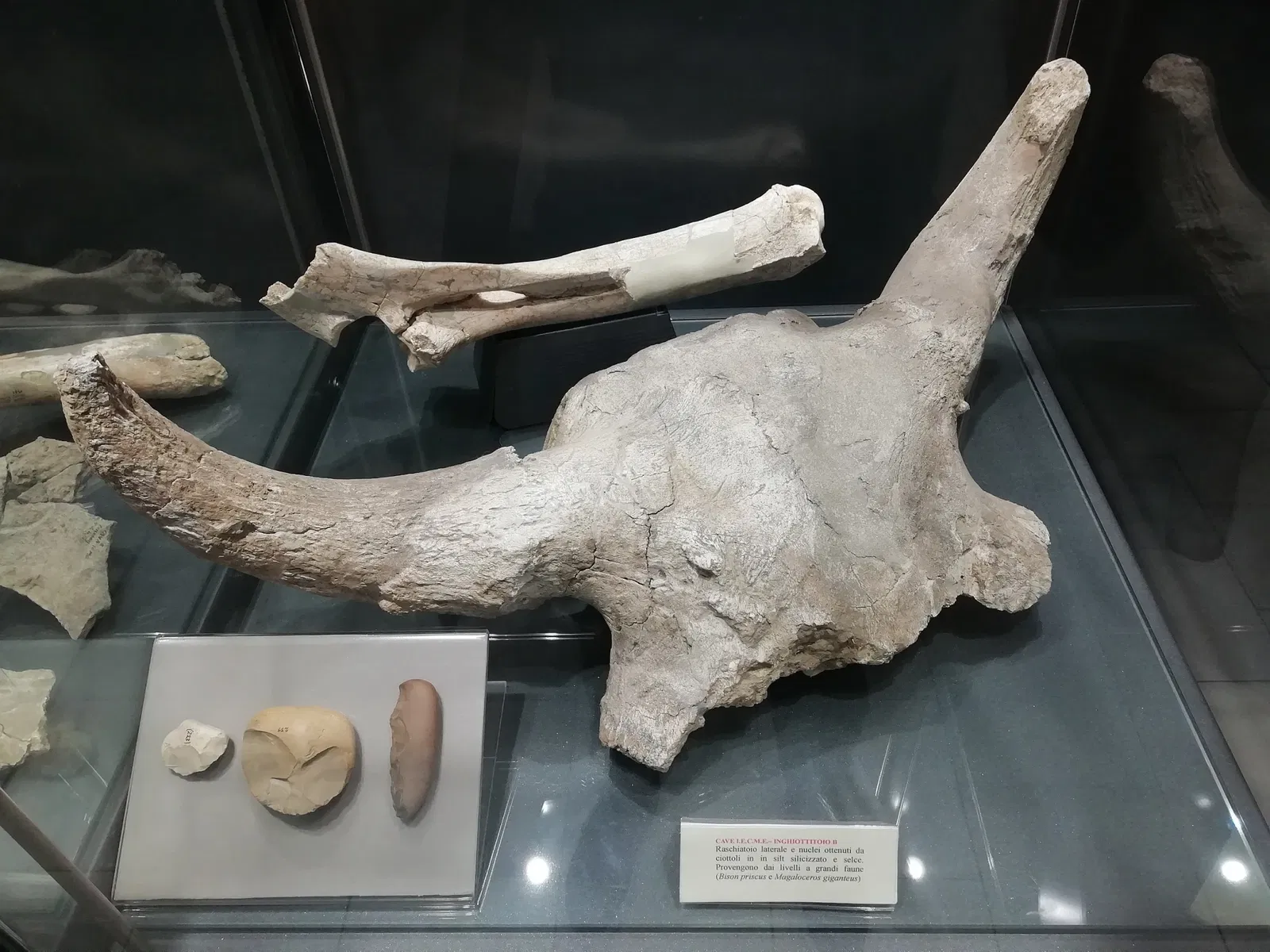 Museo della Preistoria Luigi Donini