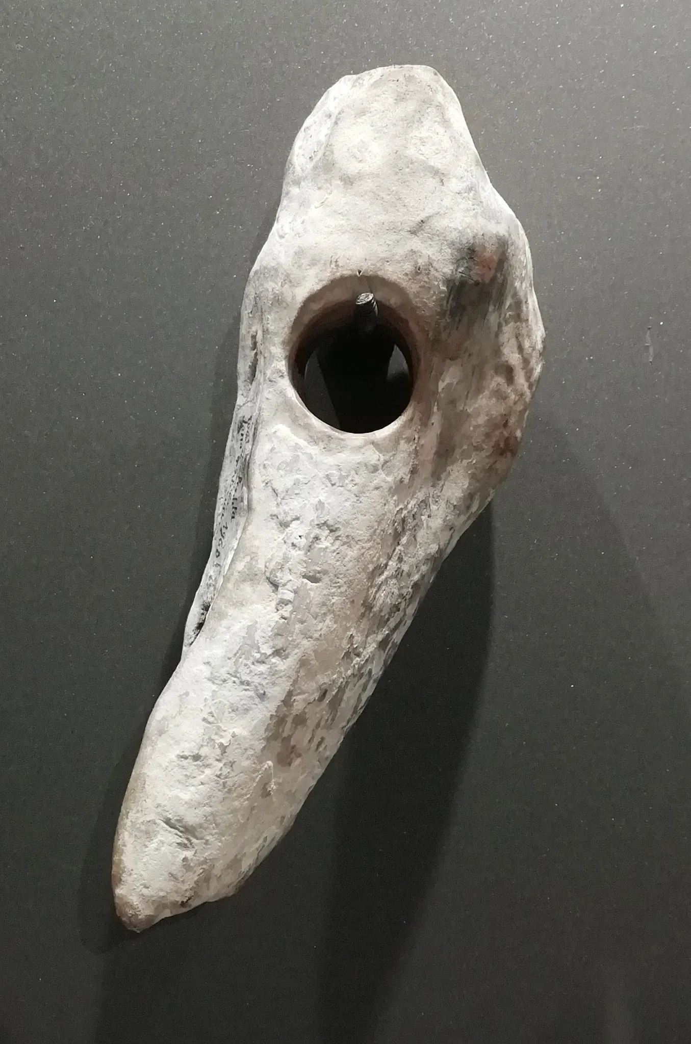 Museo della Preistoria Luigi Donini