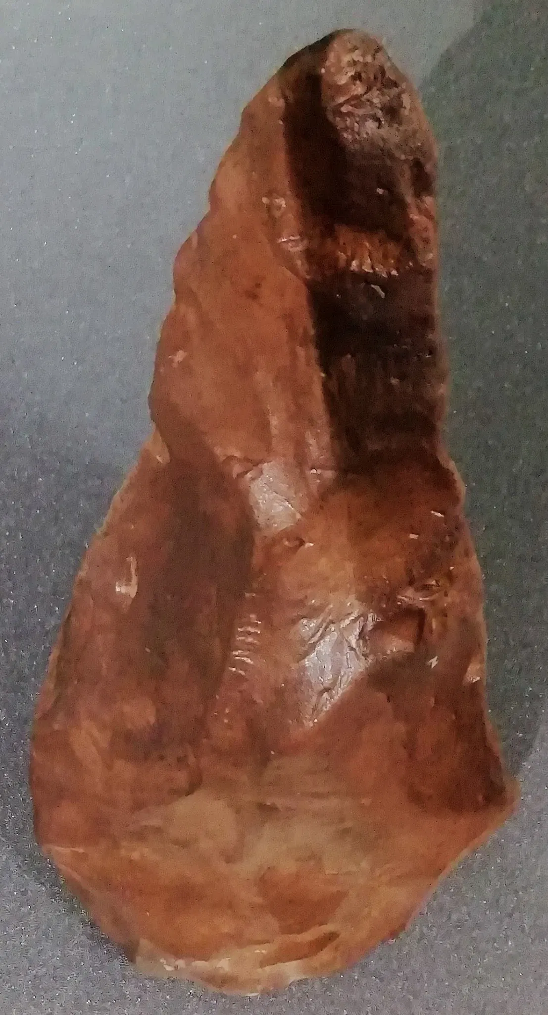 Museo della Preistoria Luigi Donini