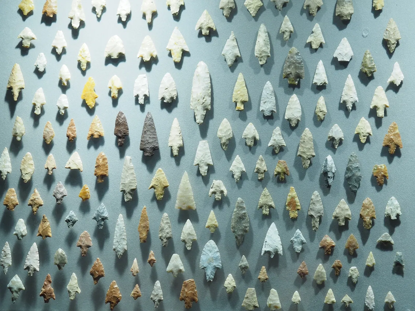 Museum of Prehistory Luigi Donini