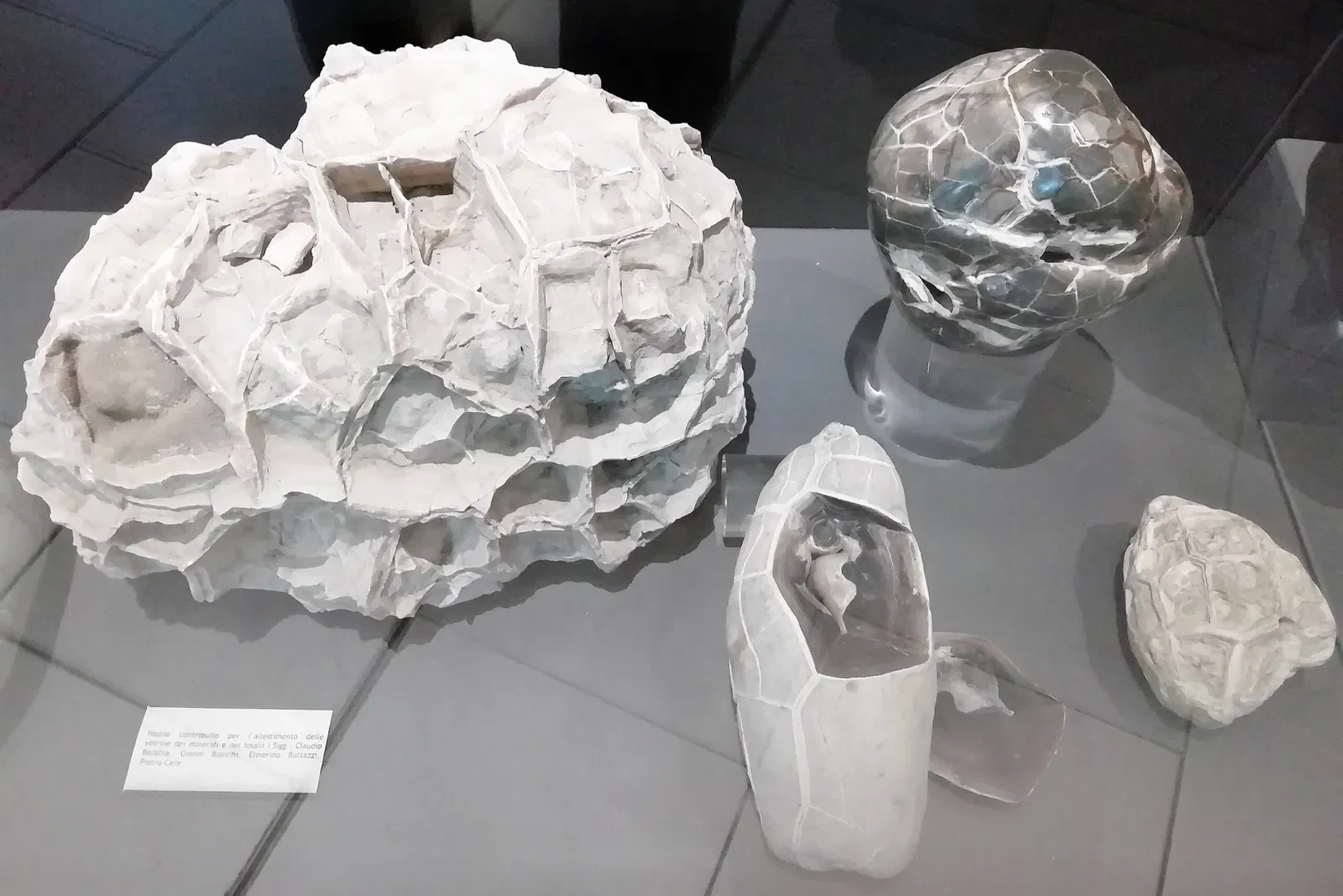 Museum of Prehistory Luigi Donini