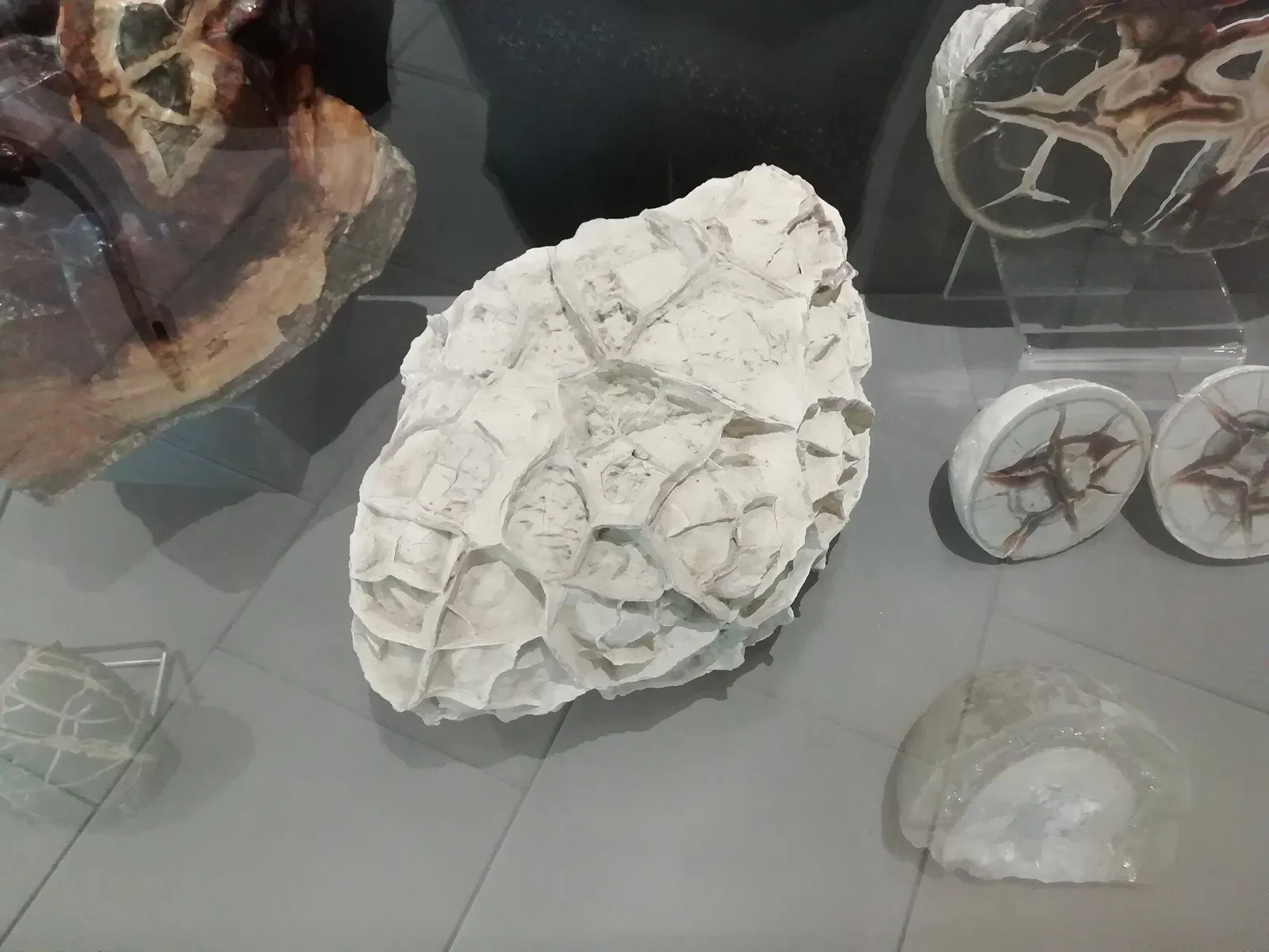 Museum of Prehistory Luigi Donini