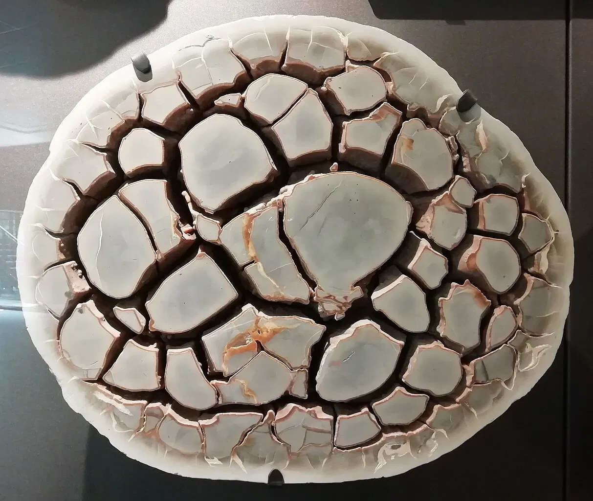 Museo della Preistoria Luigi Donini