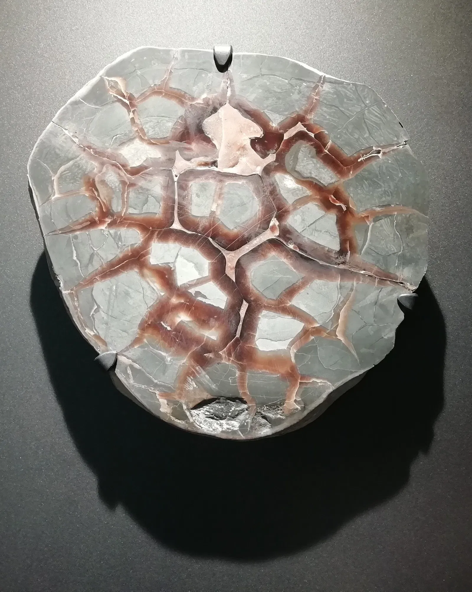 Museum of Prehistory Luigi Donini