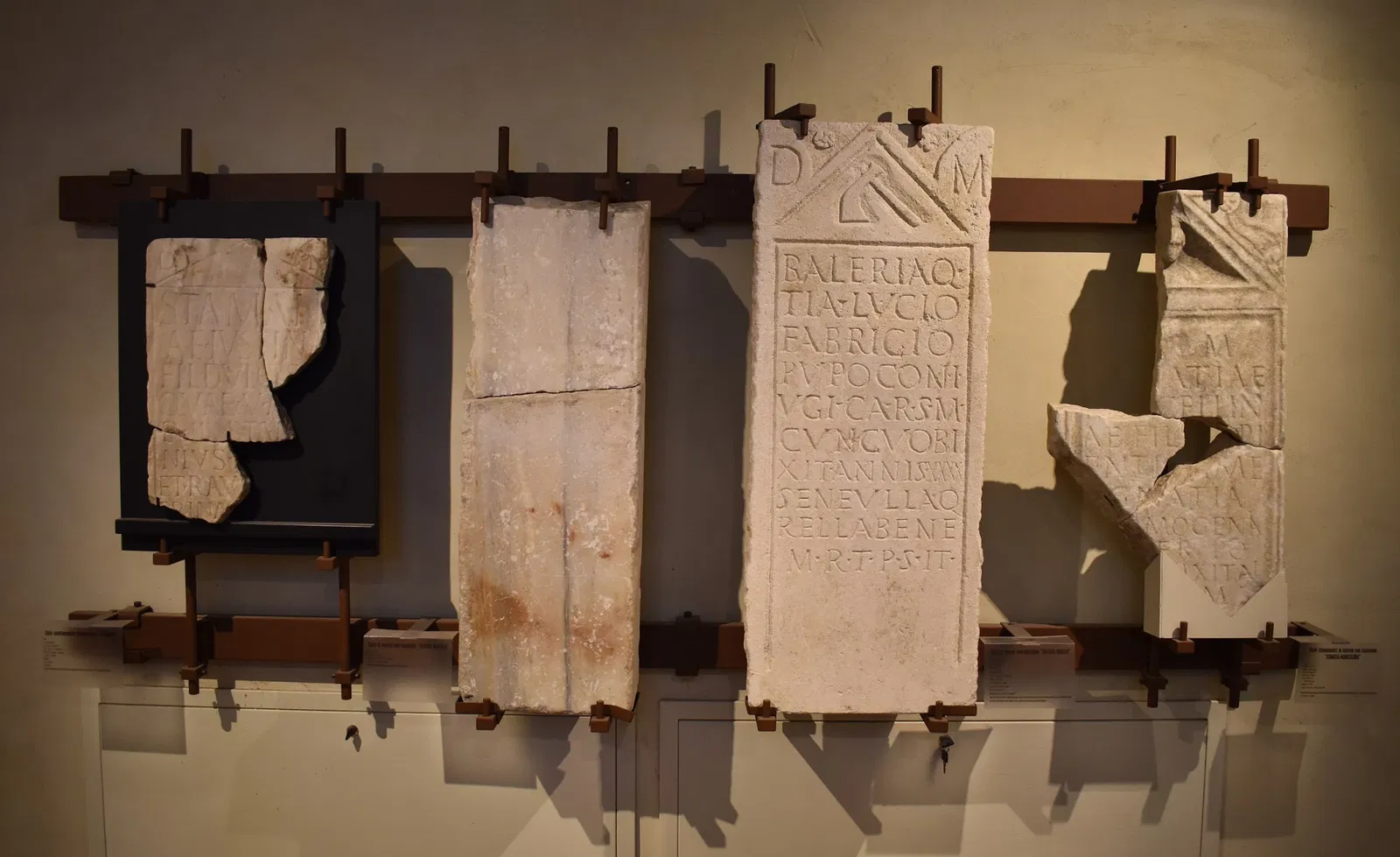 Museo Civico di Belriguardo