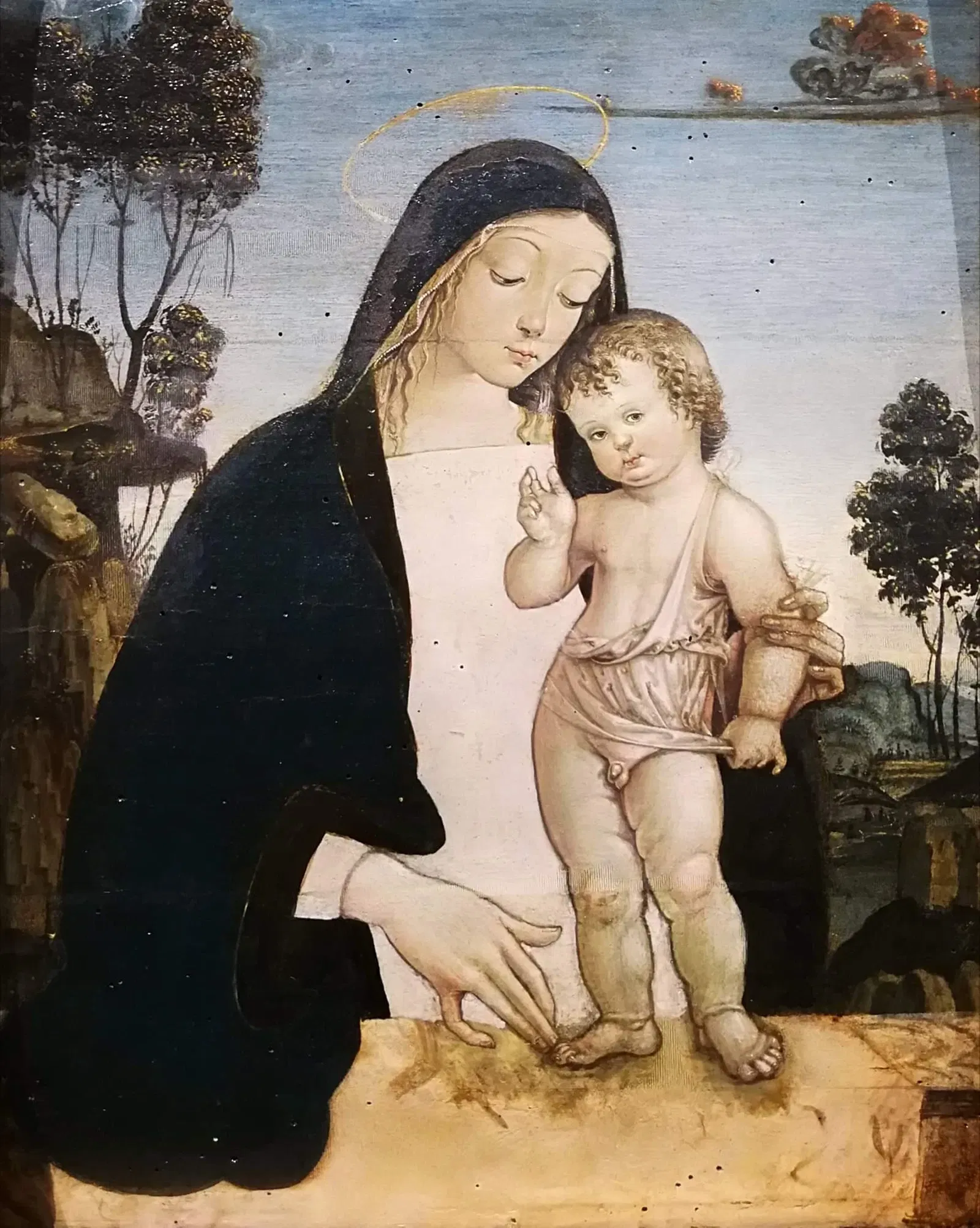 Complesso Museale San Francesco di Trevi e Museo della Civiltà dell'Ulivo