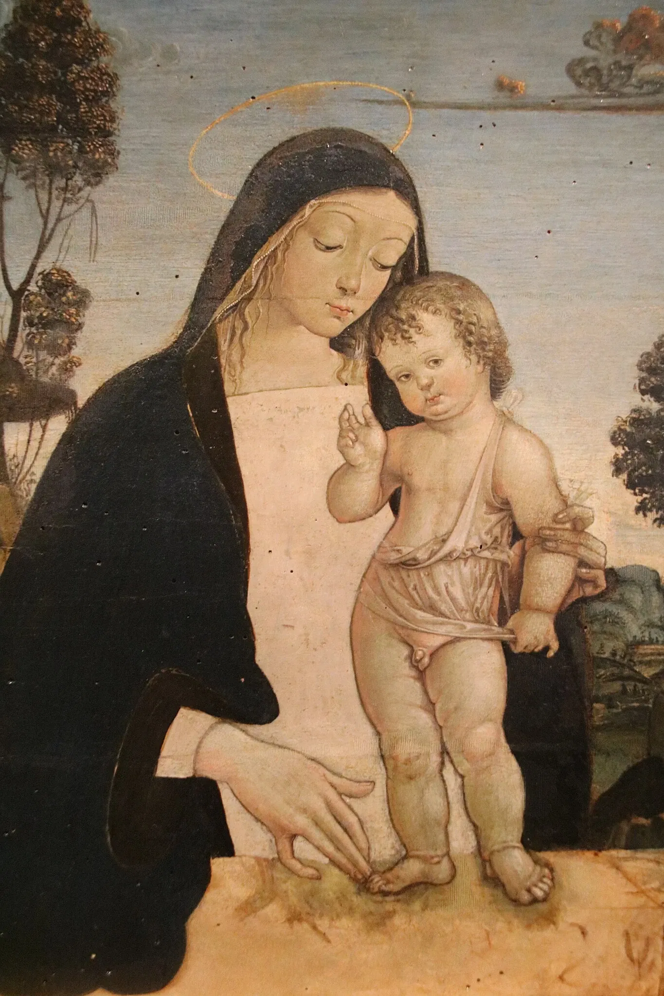 Complesso Museale San Francesco di Trevi e Museo della Civiltà dell'Ulivo