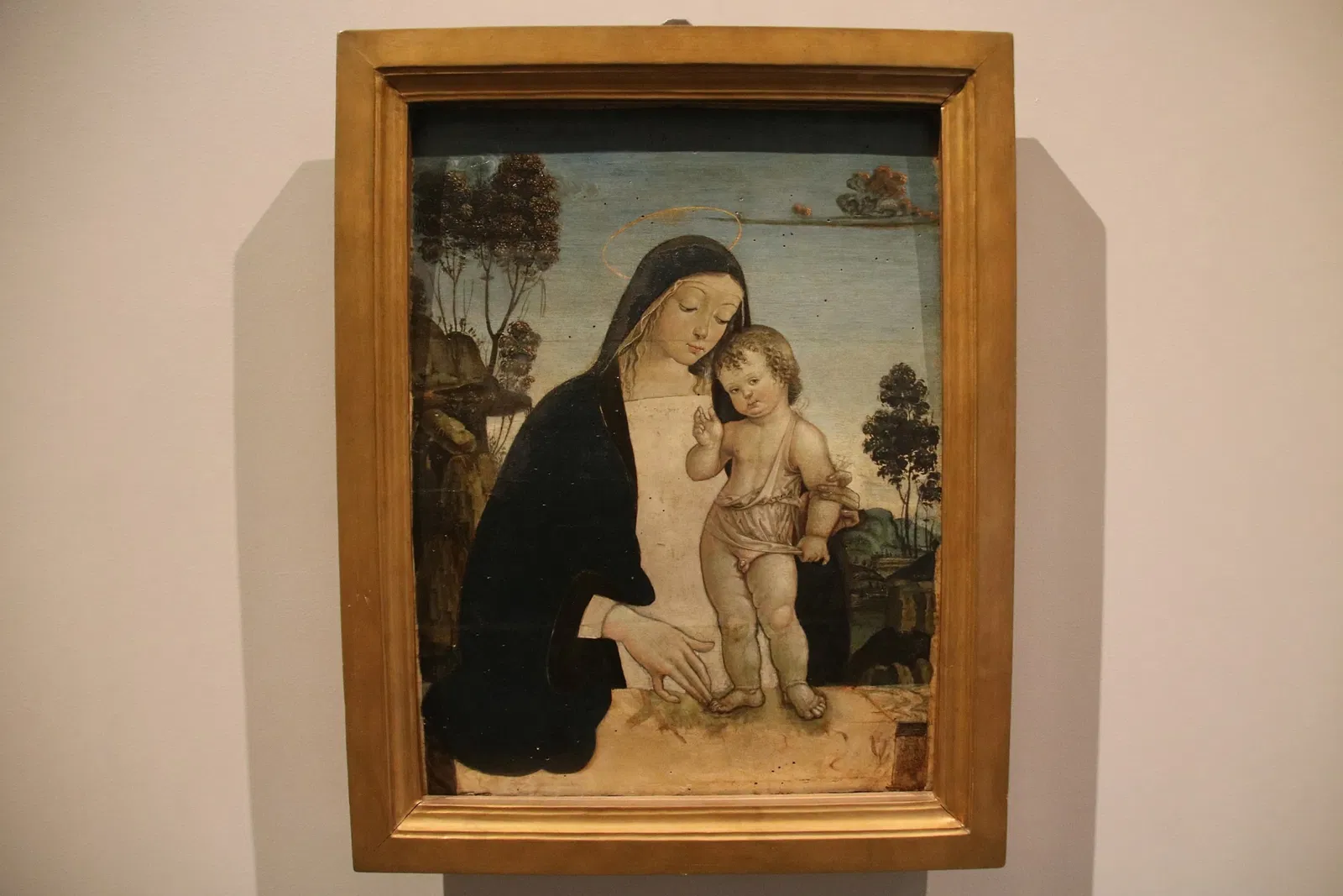 Complesso Museale San Francesco di Trevi e Museo della Civiltà dell'Ulivo