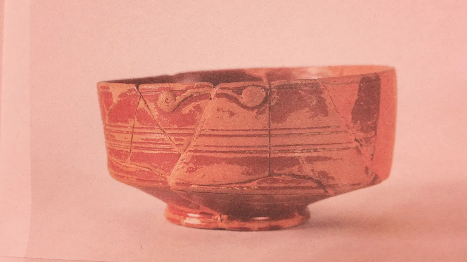 Museo della Centuriazione Romana