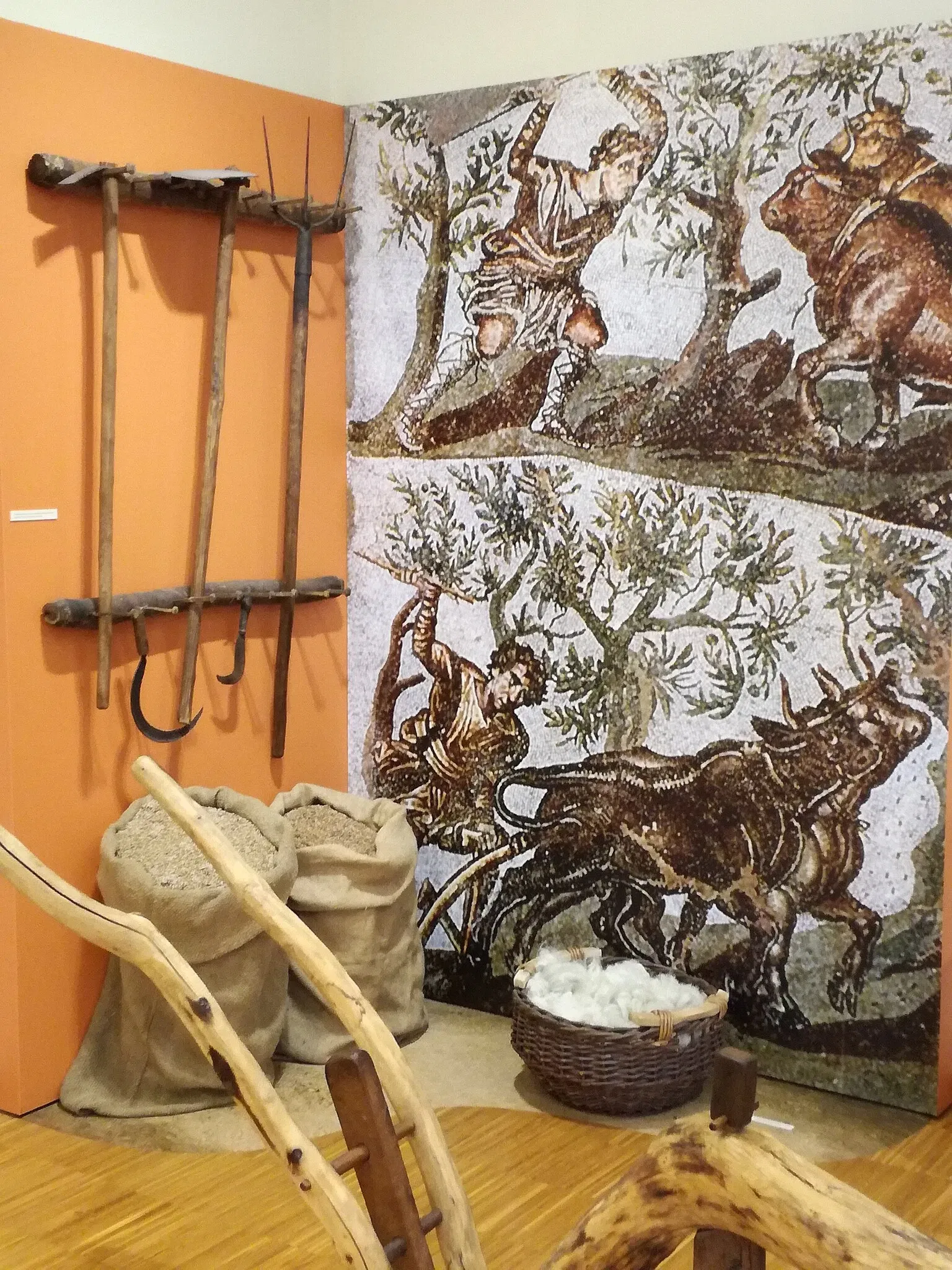 Museo della Centuriazione Romana