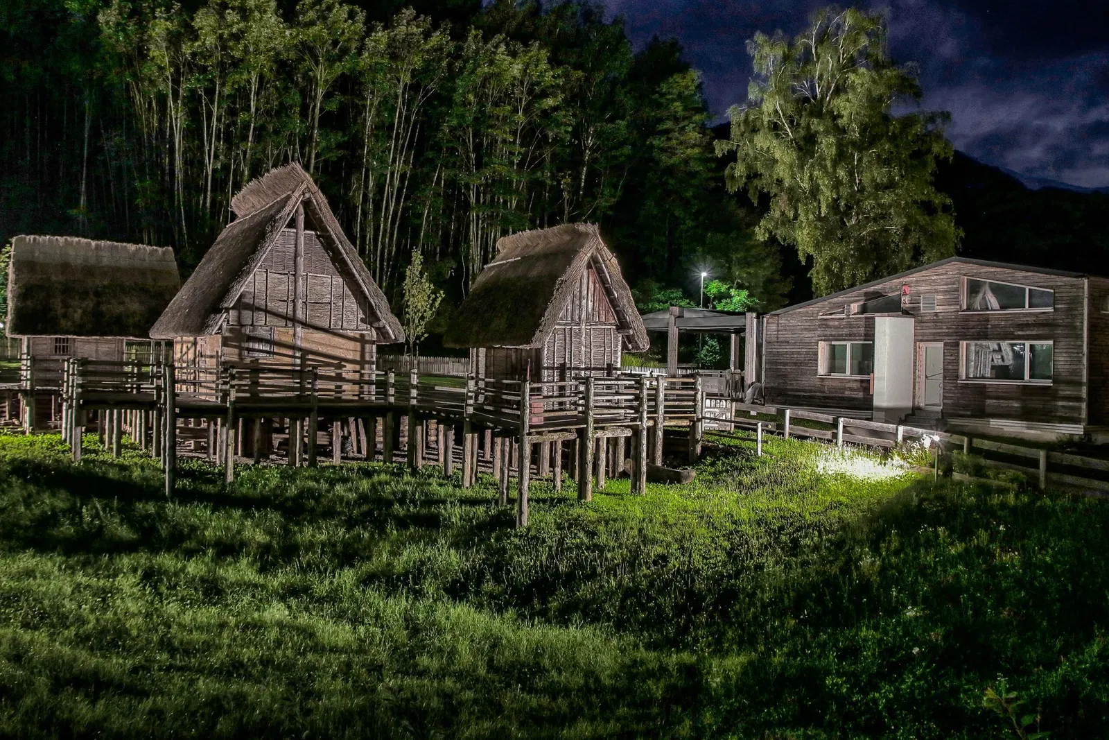 Museo della Palafitte del Lago di Ledro