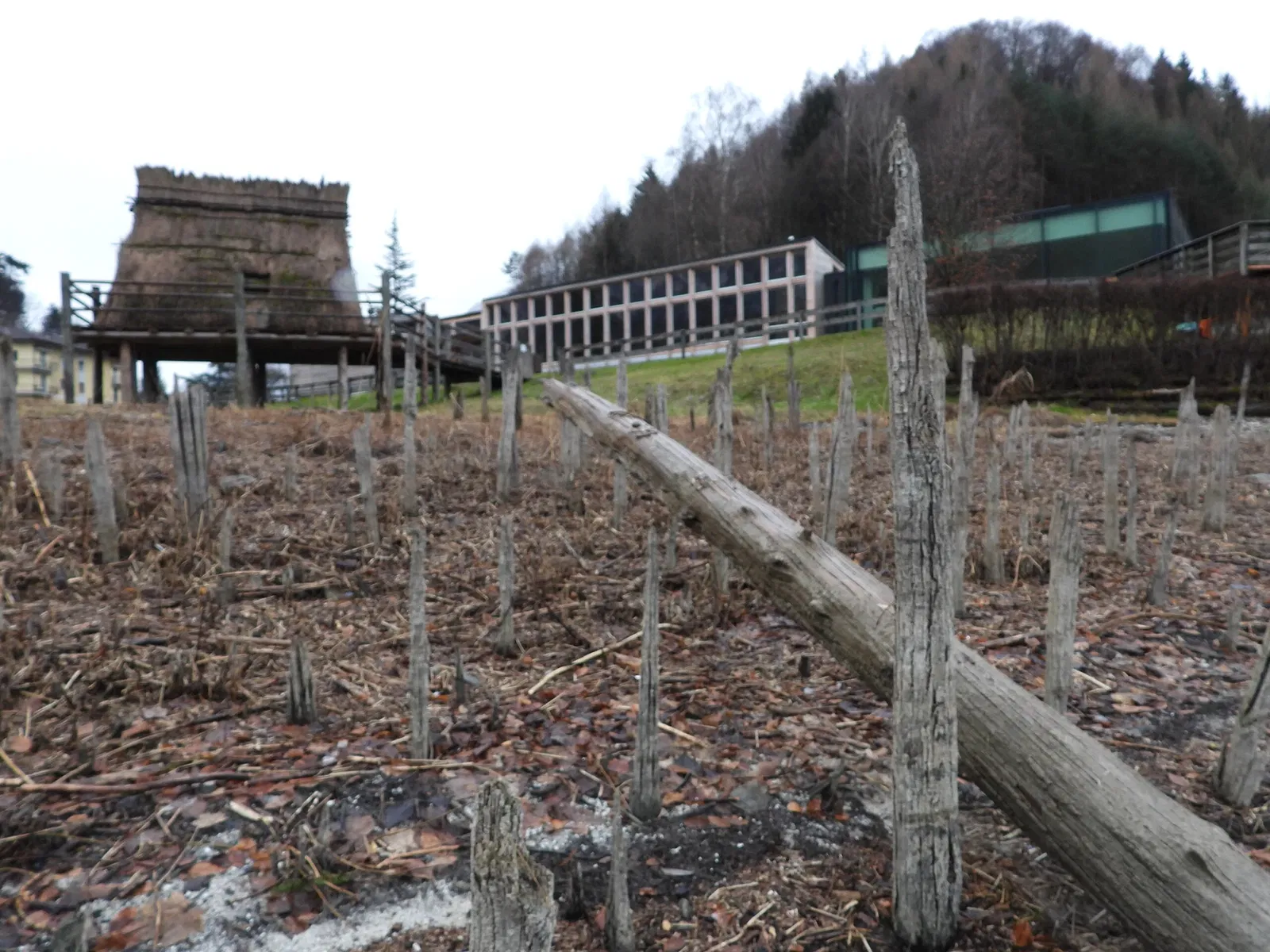 Lake Ledro Pile-Dwelling Museum