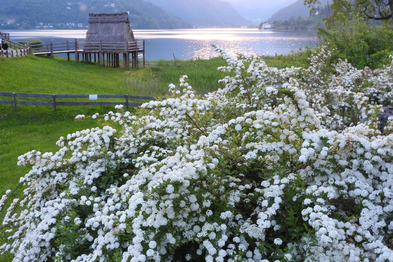 Lake Ledro Pile-Dwelling Museum