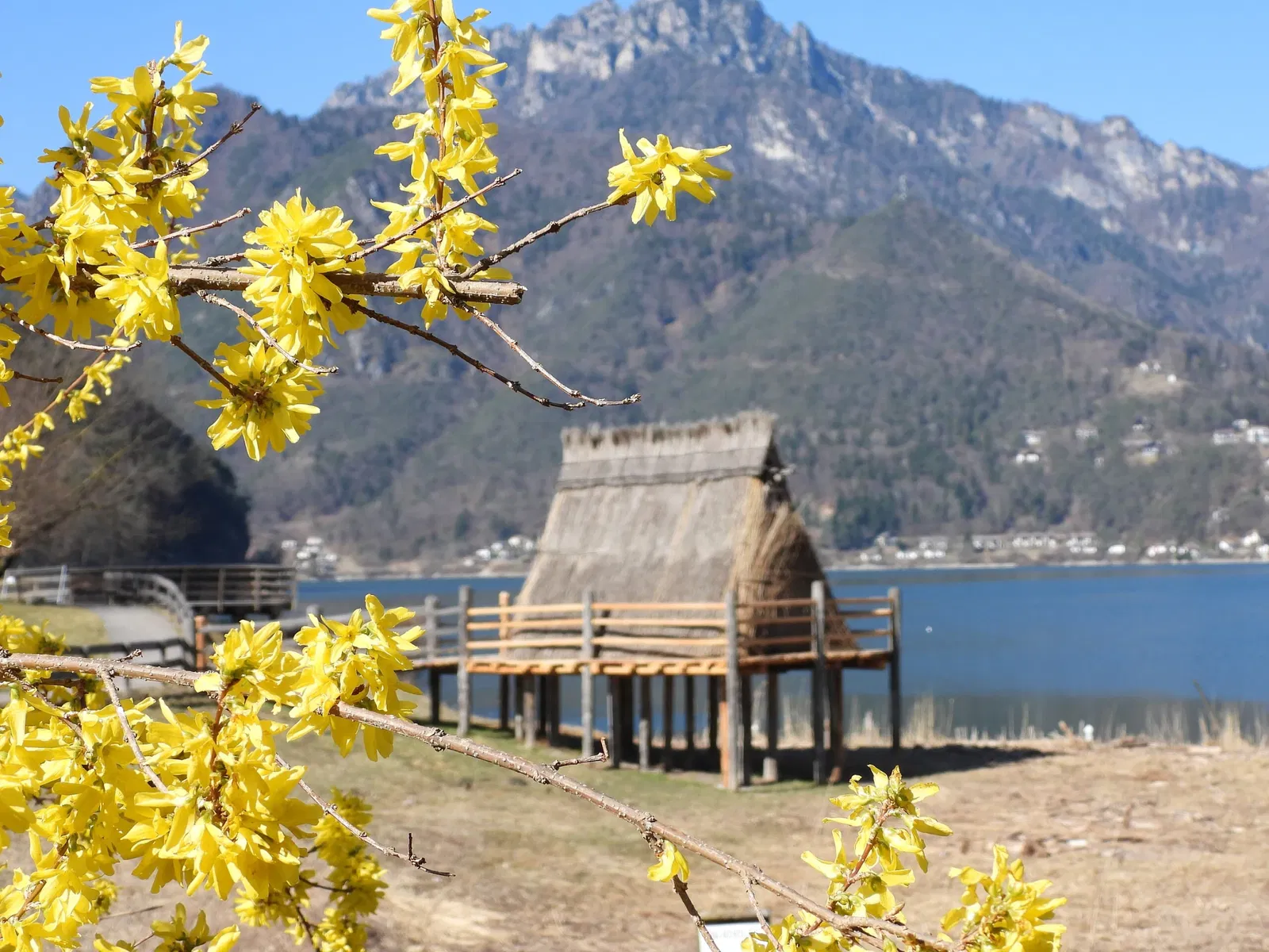 Lake Ledro Pile-Dwelling Museum