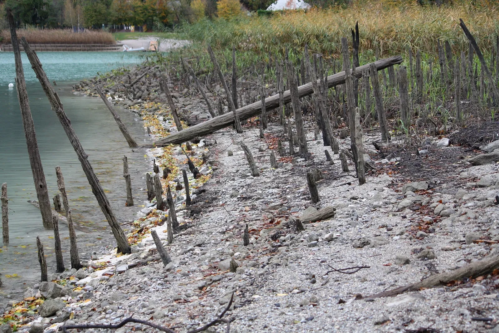 Lake Ledro Pile-Dwelling Museum